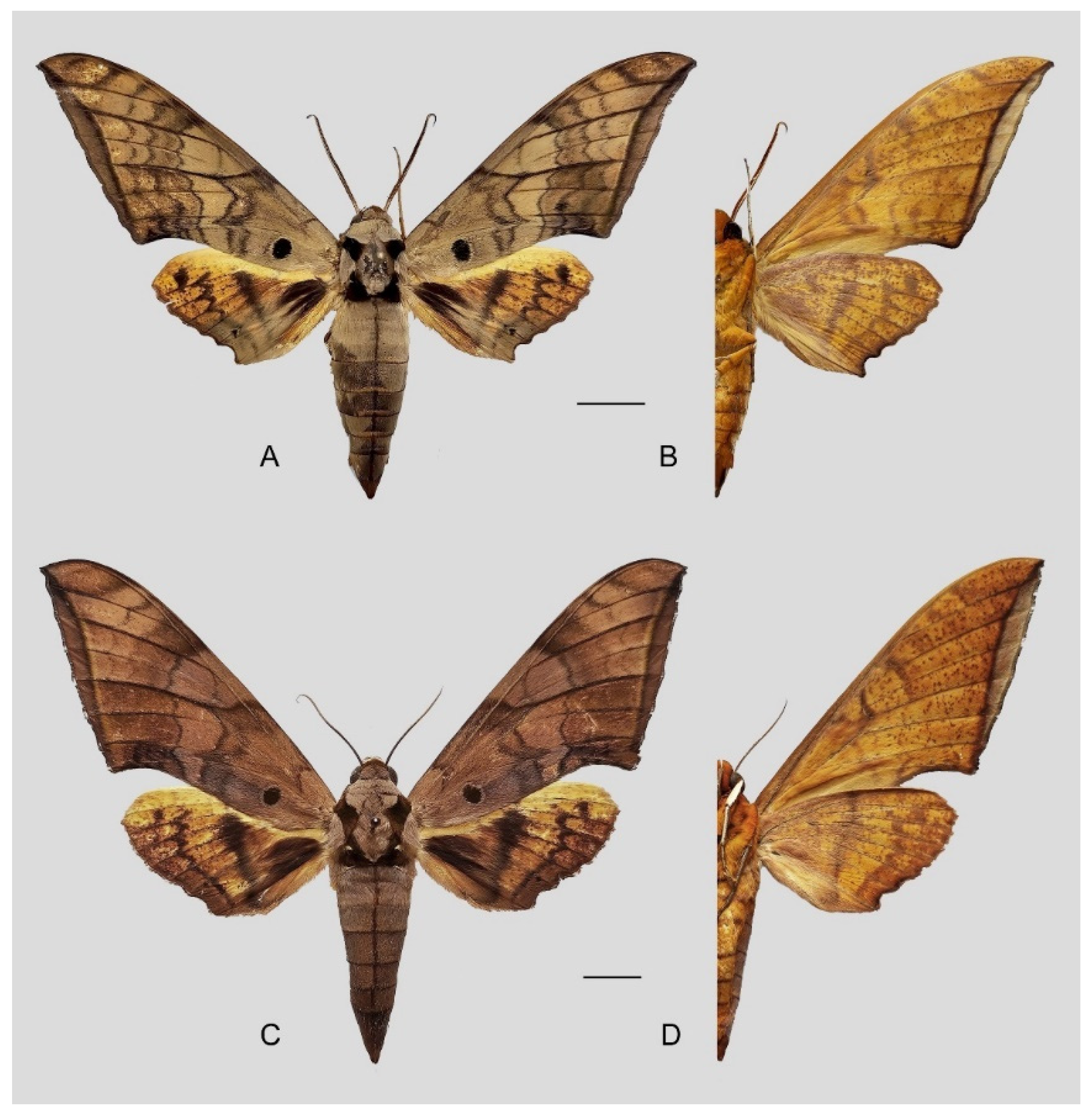 Insects 16 00223 g091