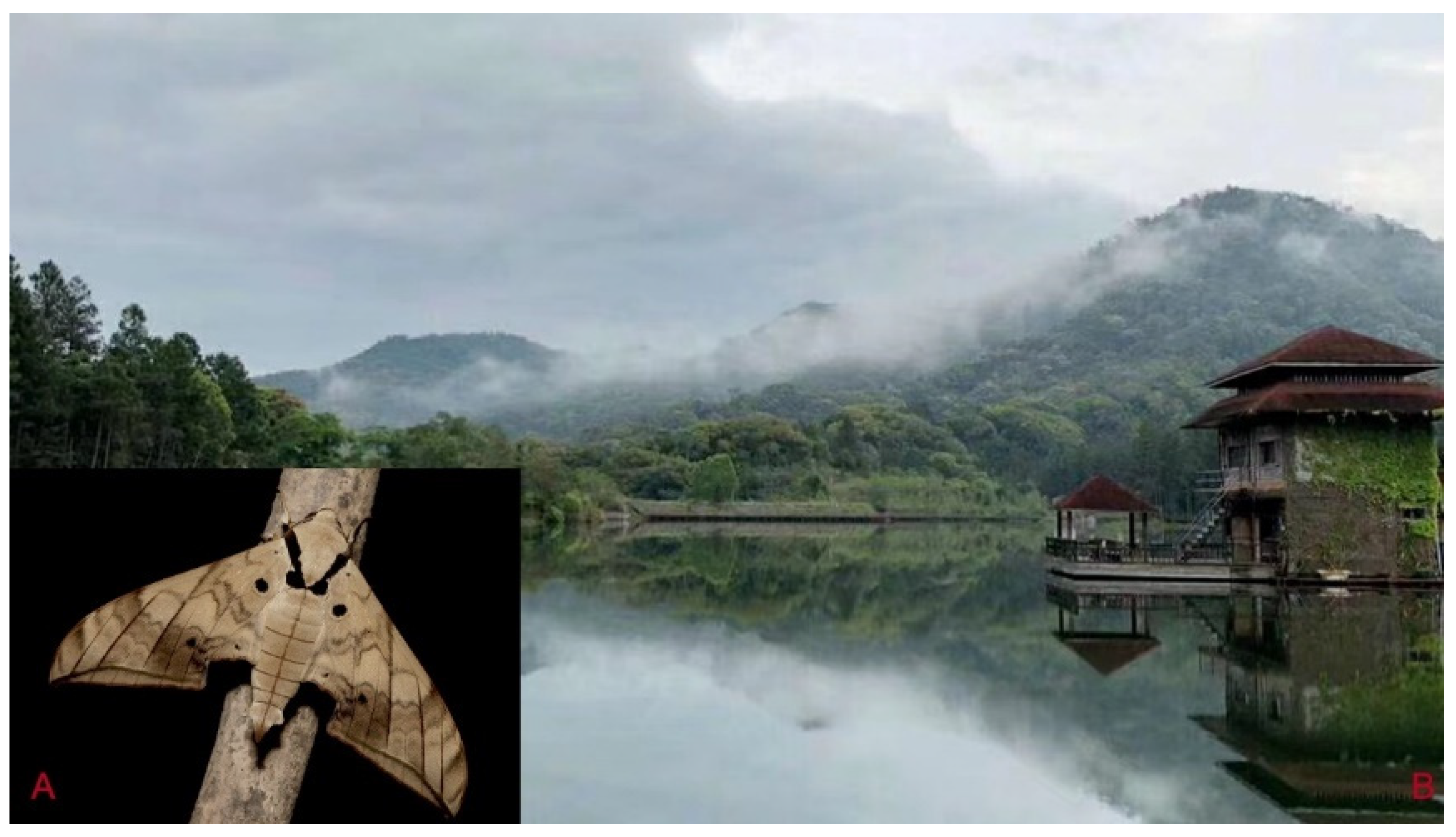 Insects 16 00223 g094