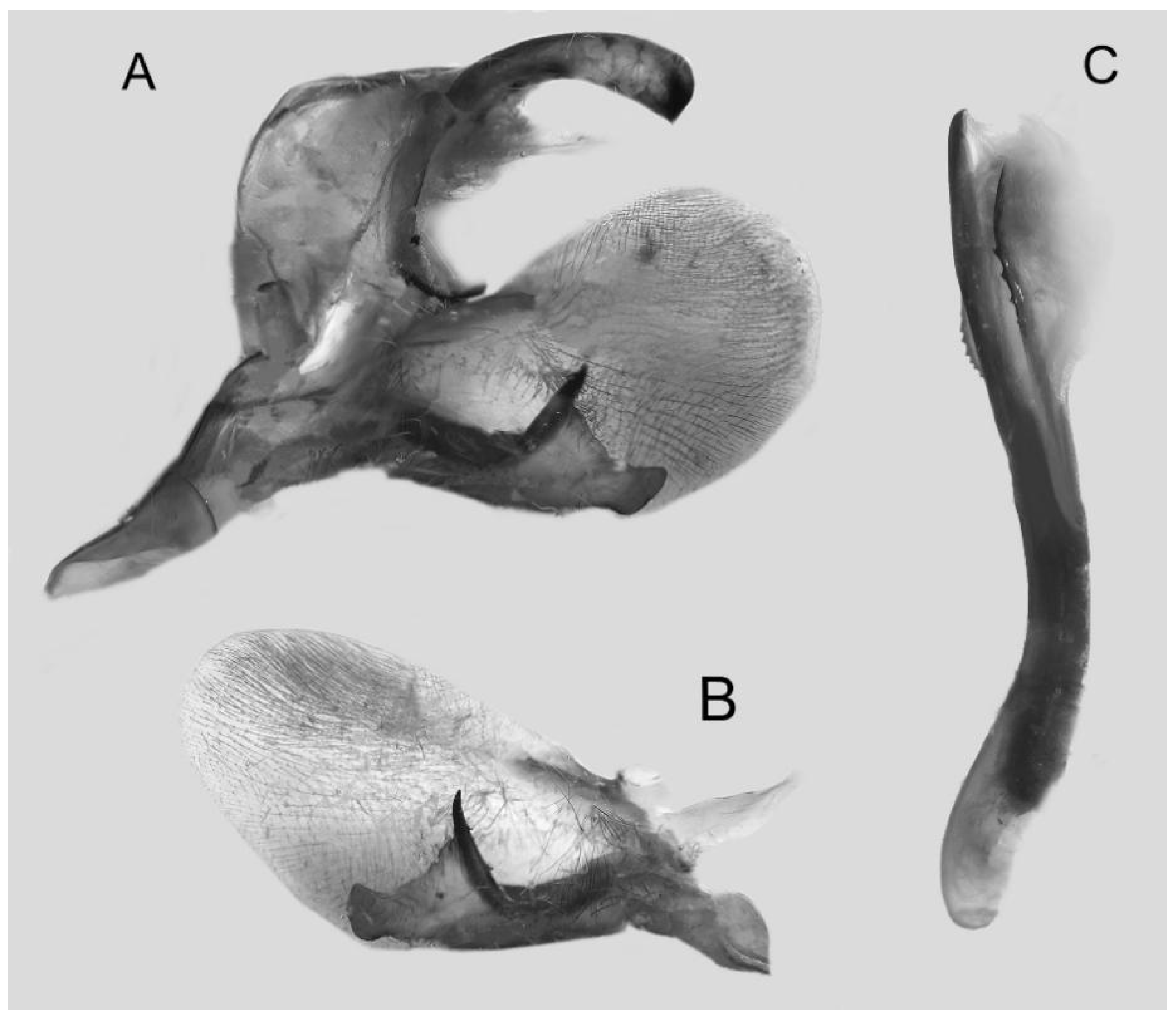Insects 16 00223 g096