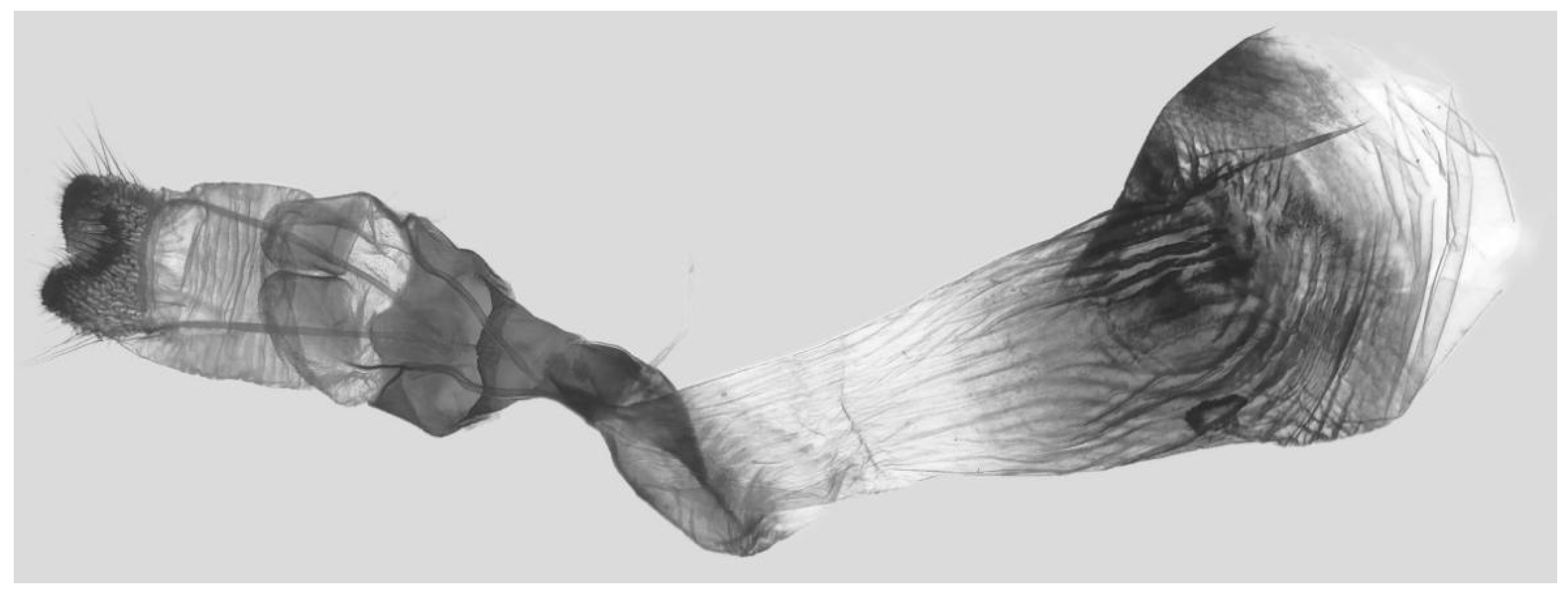 Insects 16 00223 g097