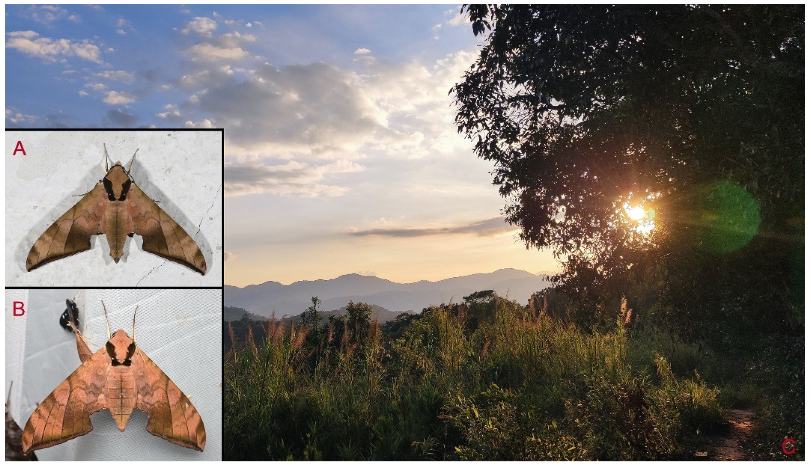 Insects 16 00223 g098