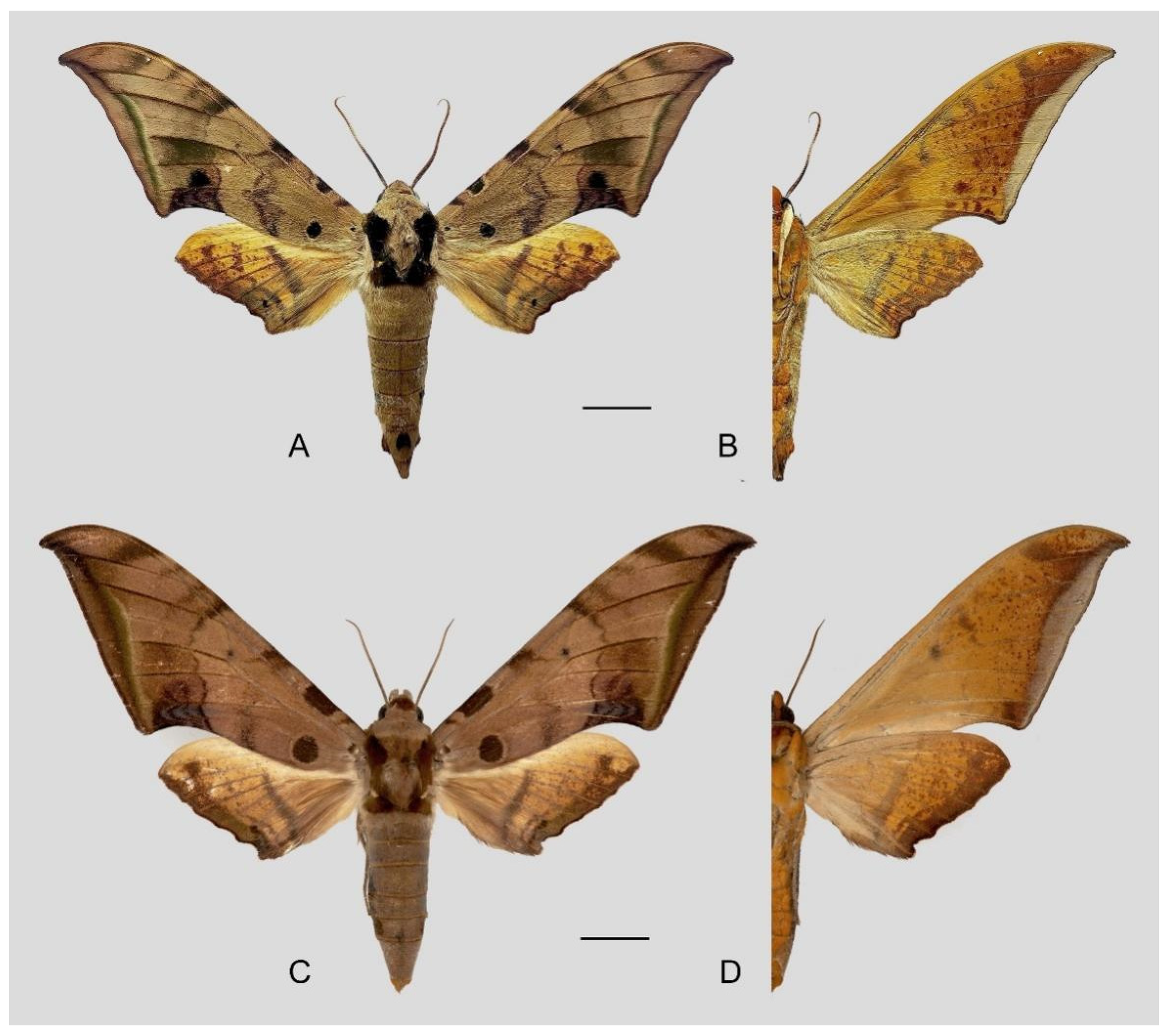 Insects 16 00223 g099