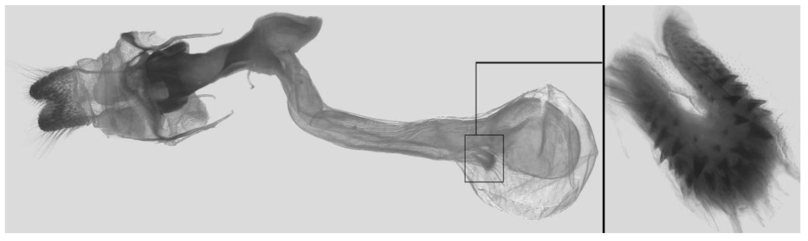 Insects 16 00223 g101