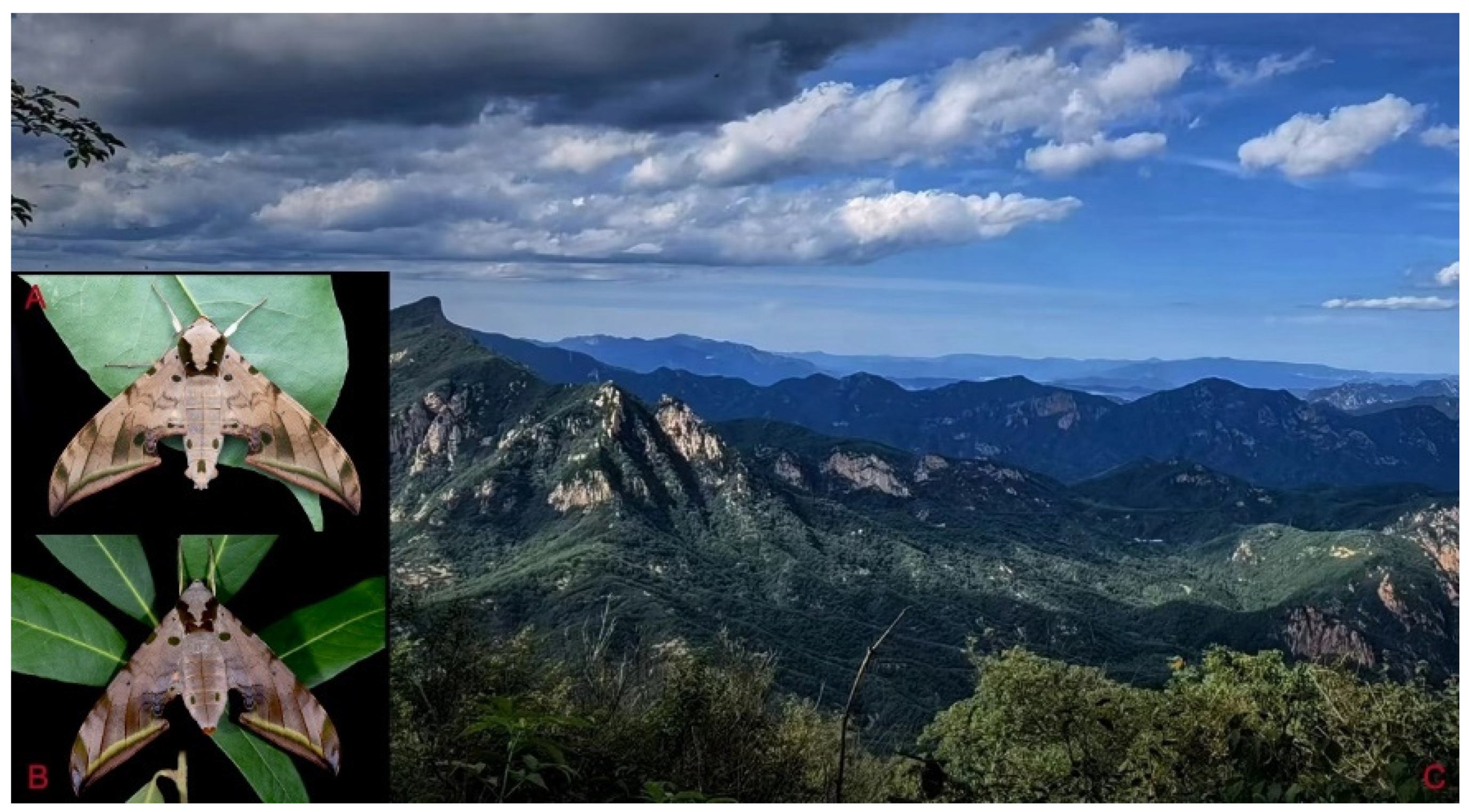 Insects 16 00223 g102