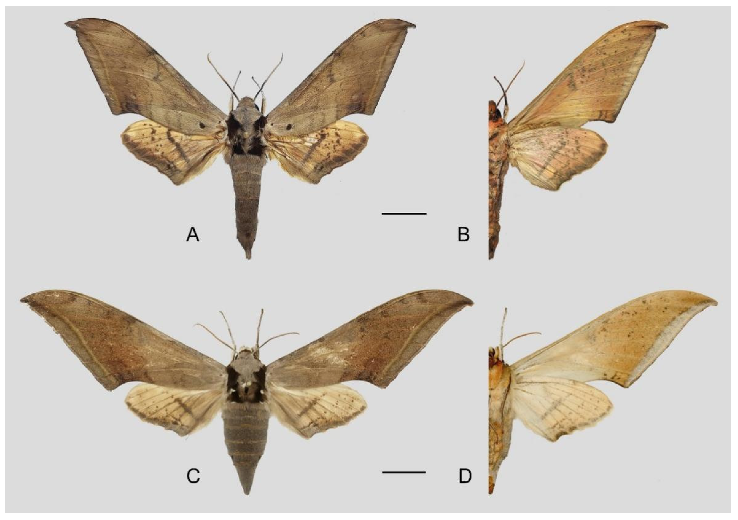 Insects 16 00223 g103