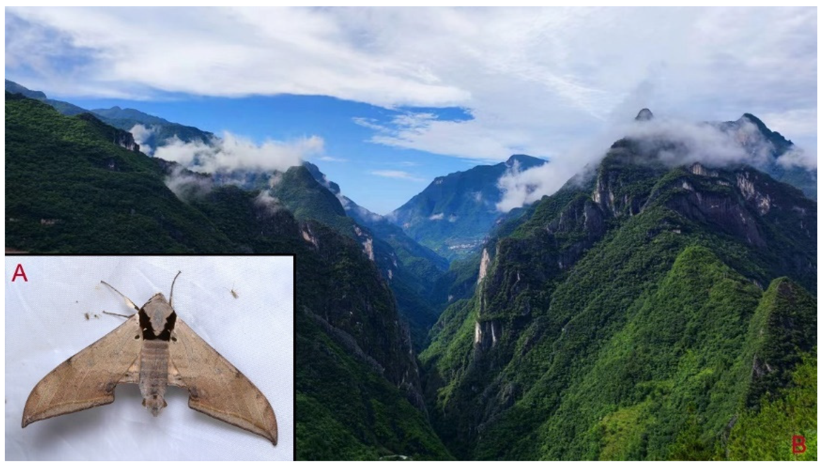 Insects 16 00223 g105