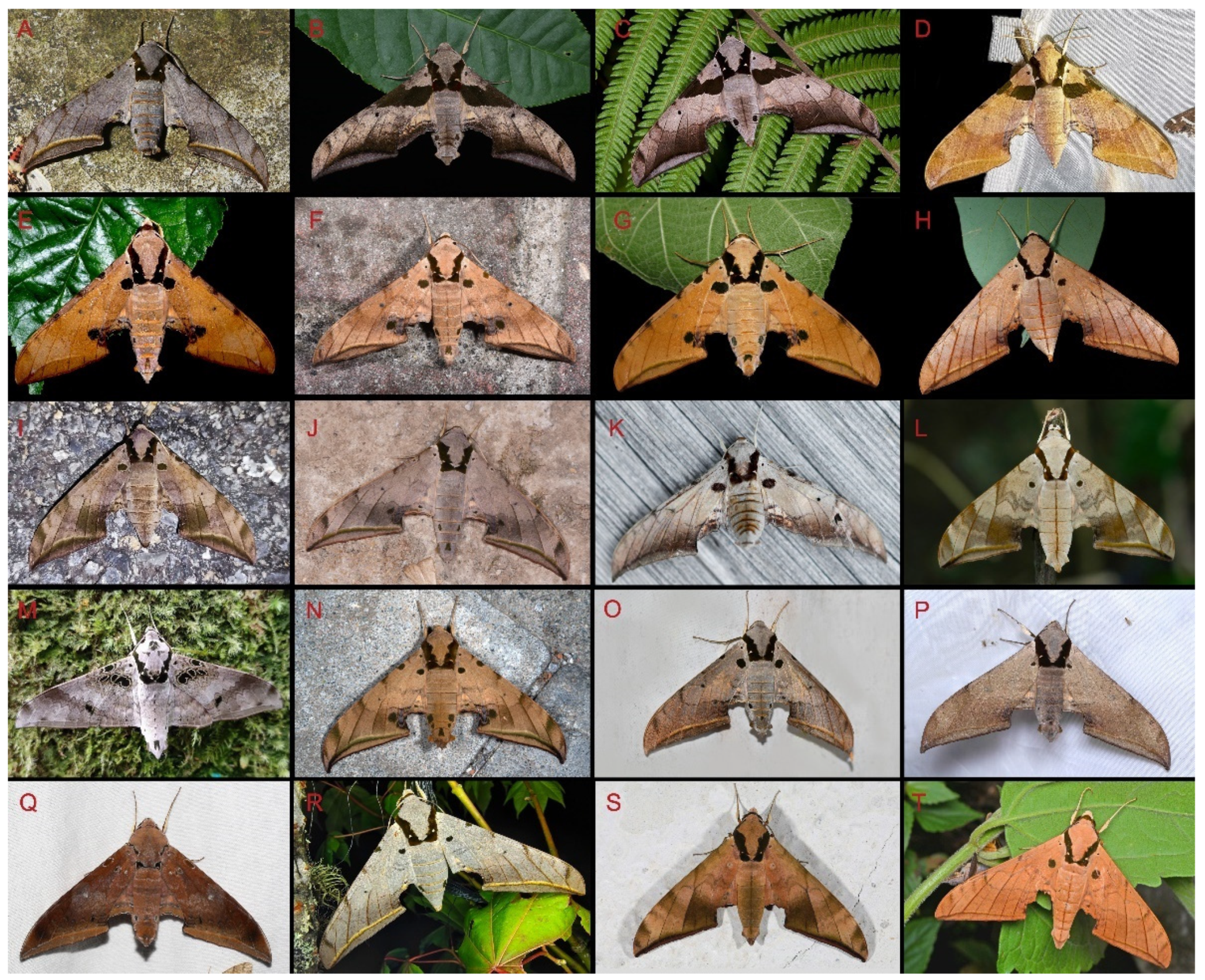 Insects 16 00223 g107