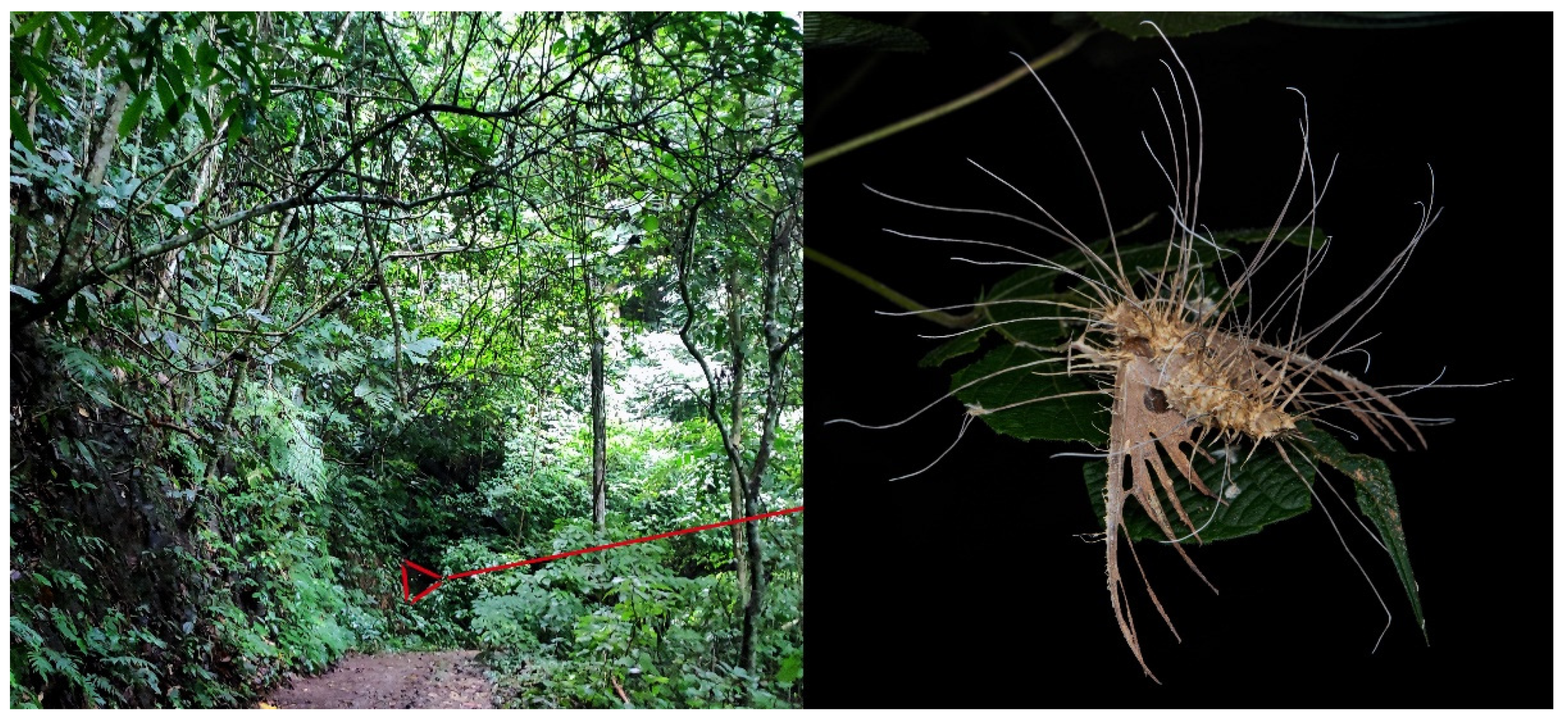 Insects 16 00223 g110