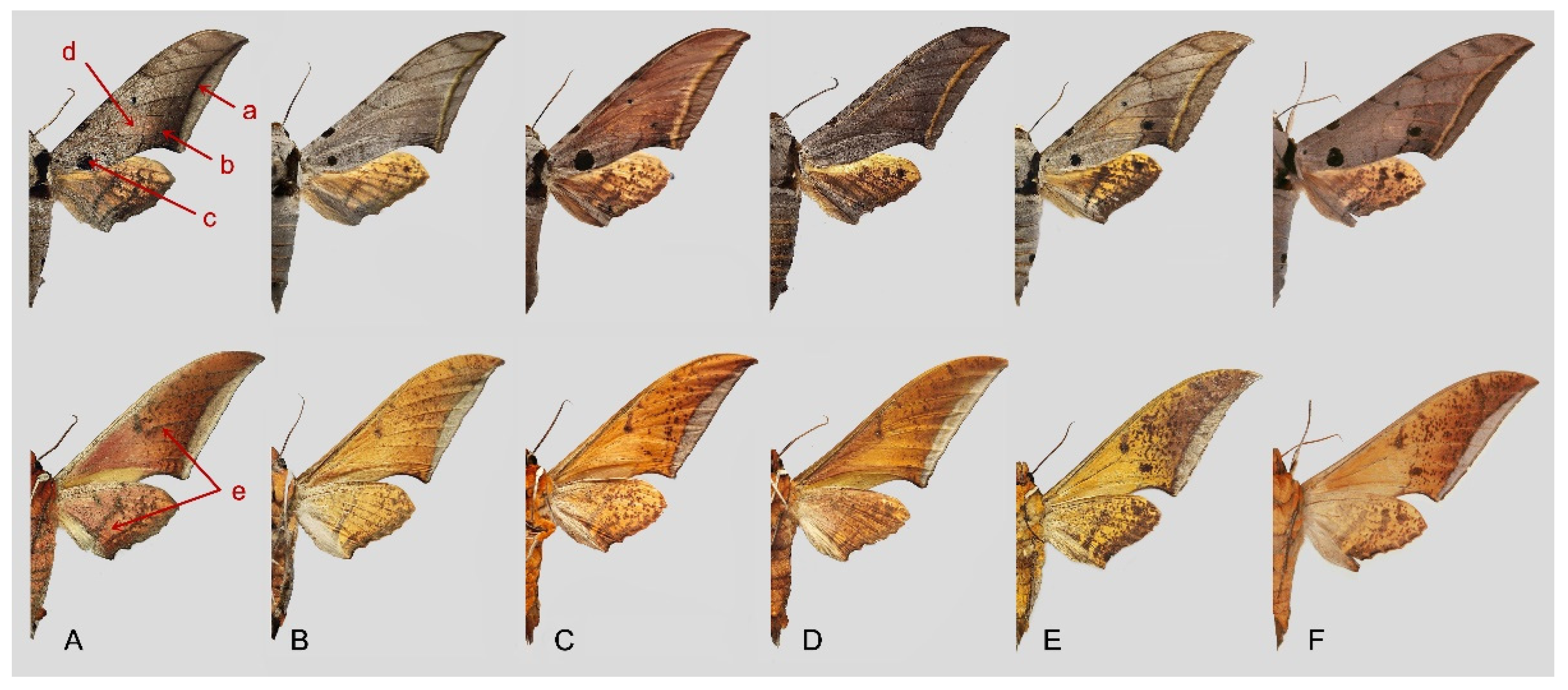 Insects 16 00223 g111