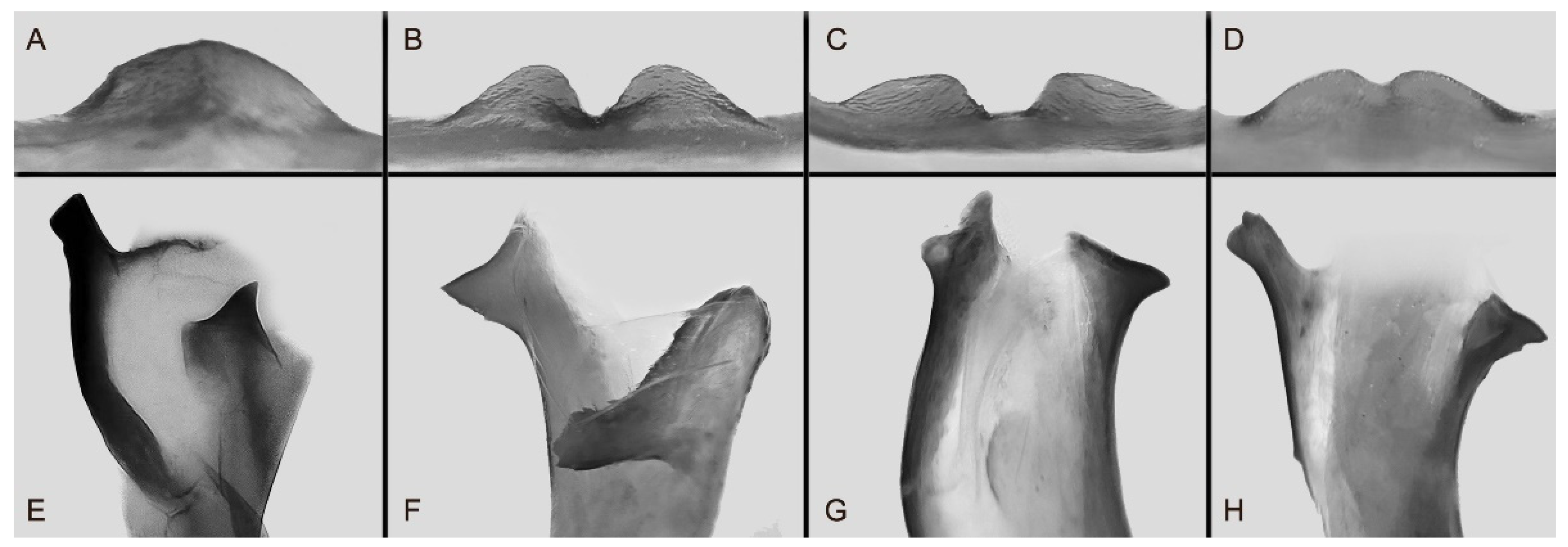 Insects 16 00223 g112