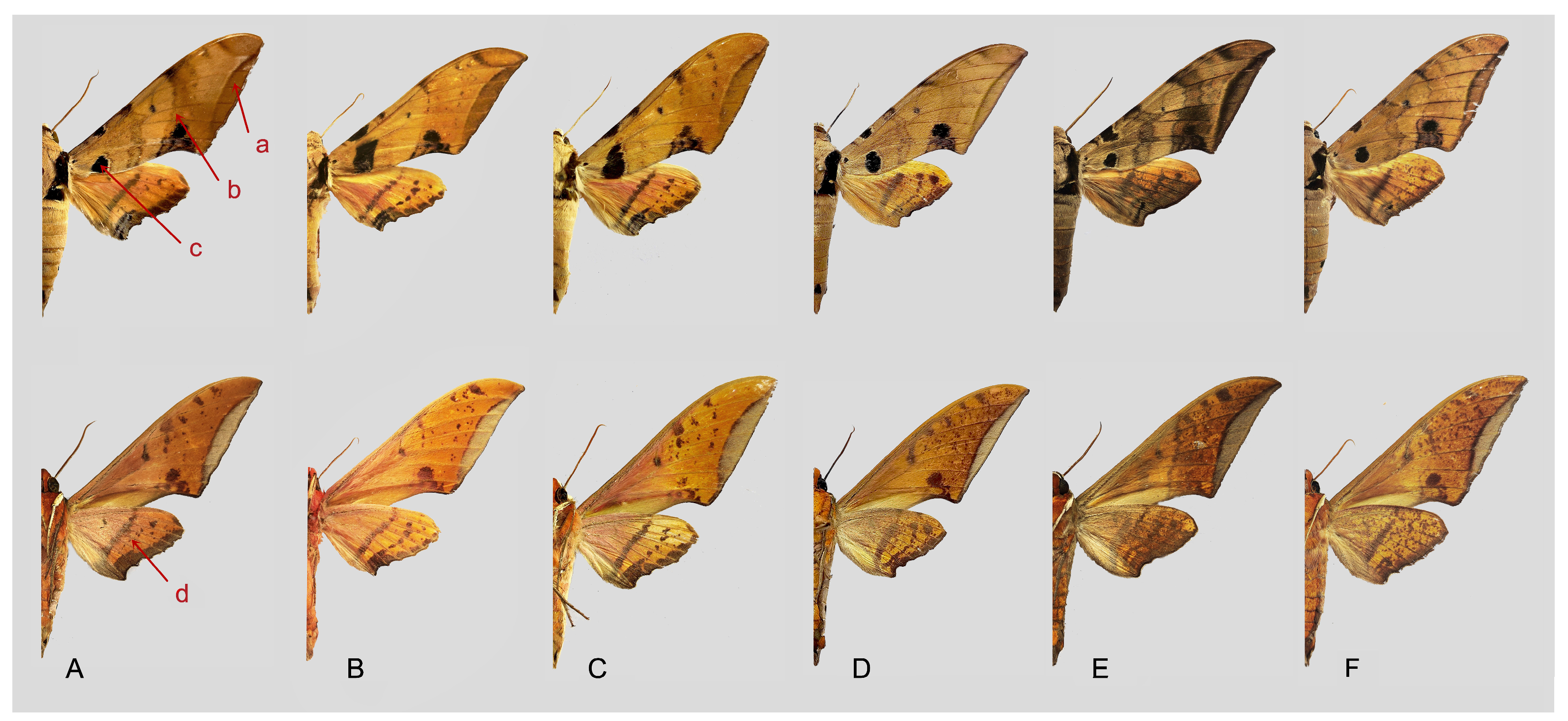Insects 16 00223 g113