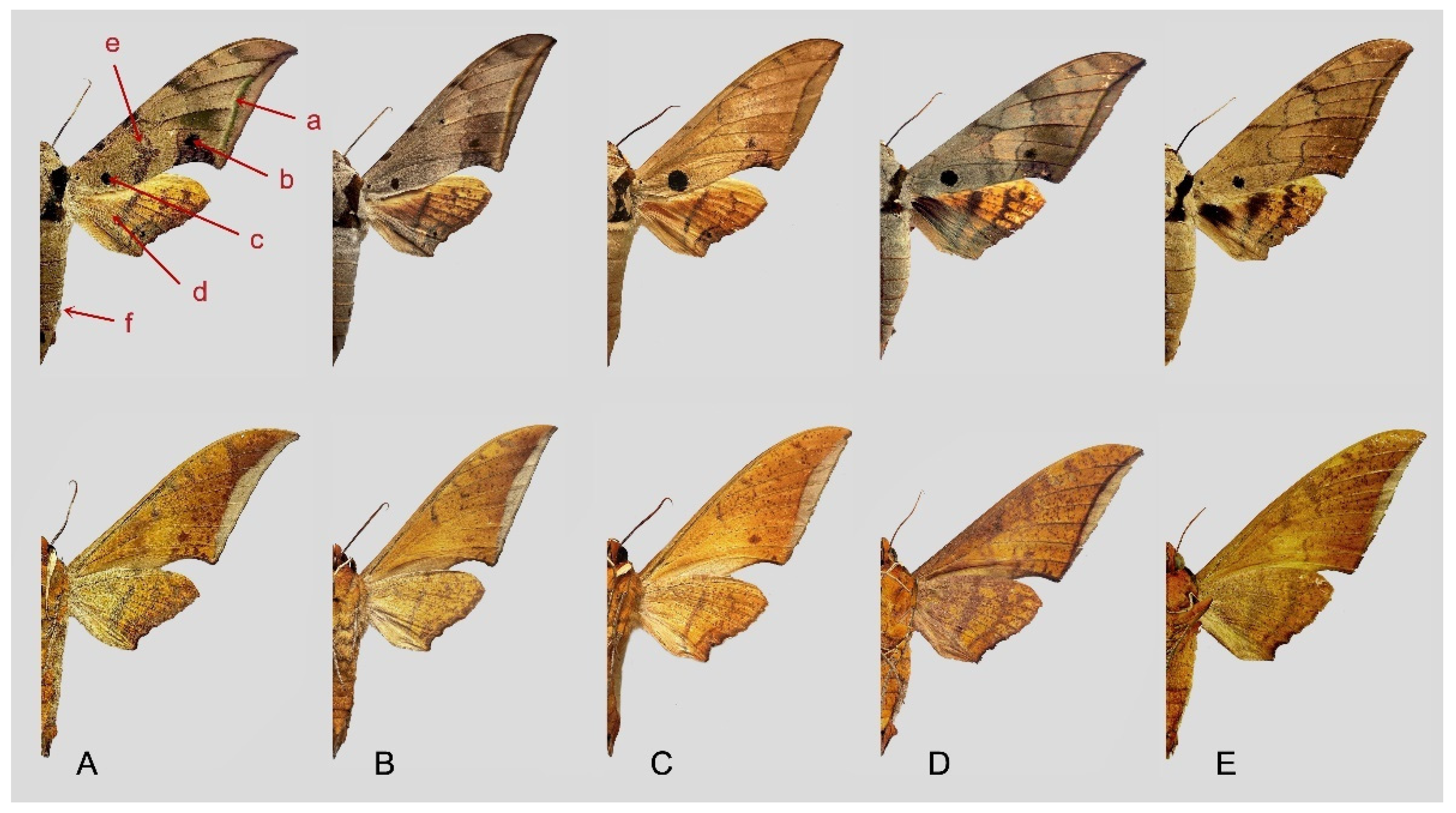 Insects 16 00223 g114