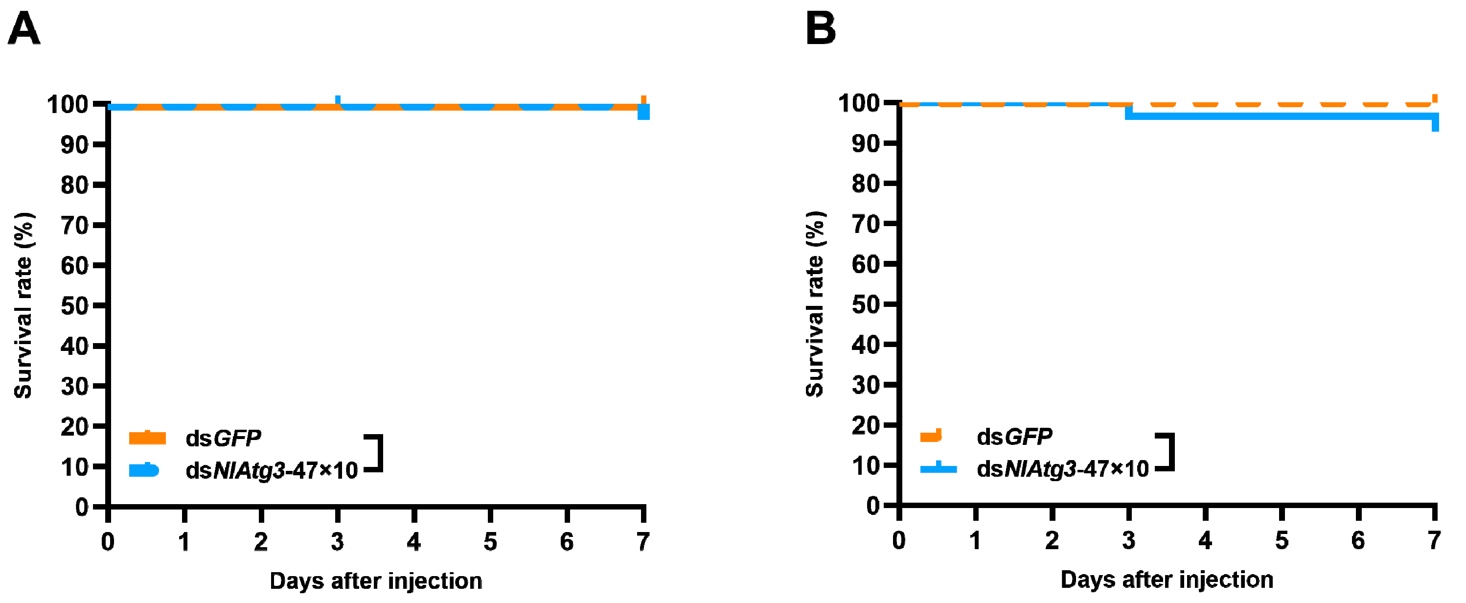 Insects 16 00225 g008