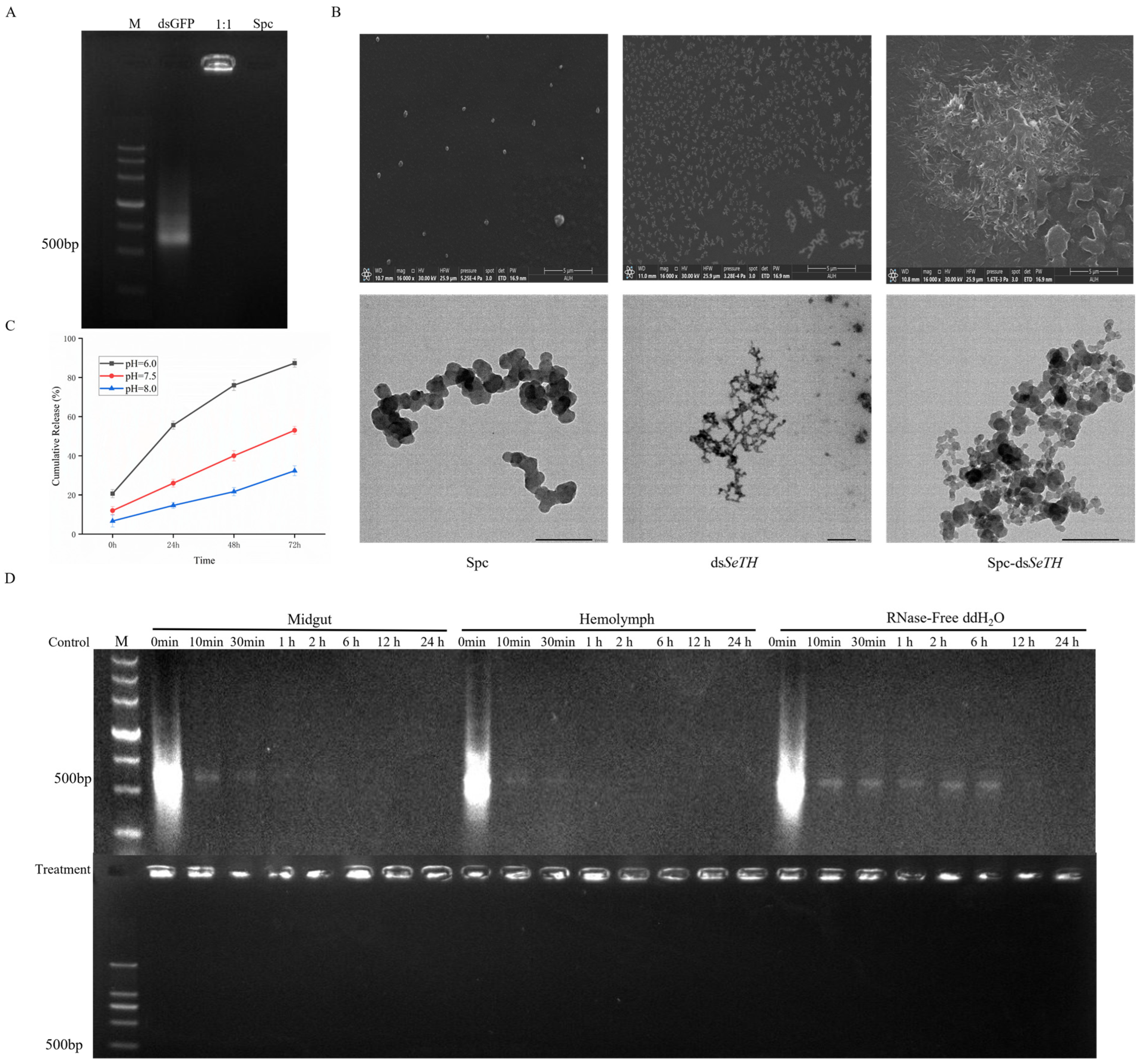 Insects 16 00229 g004