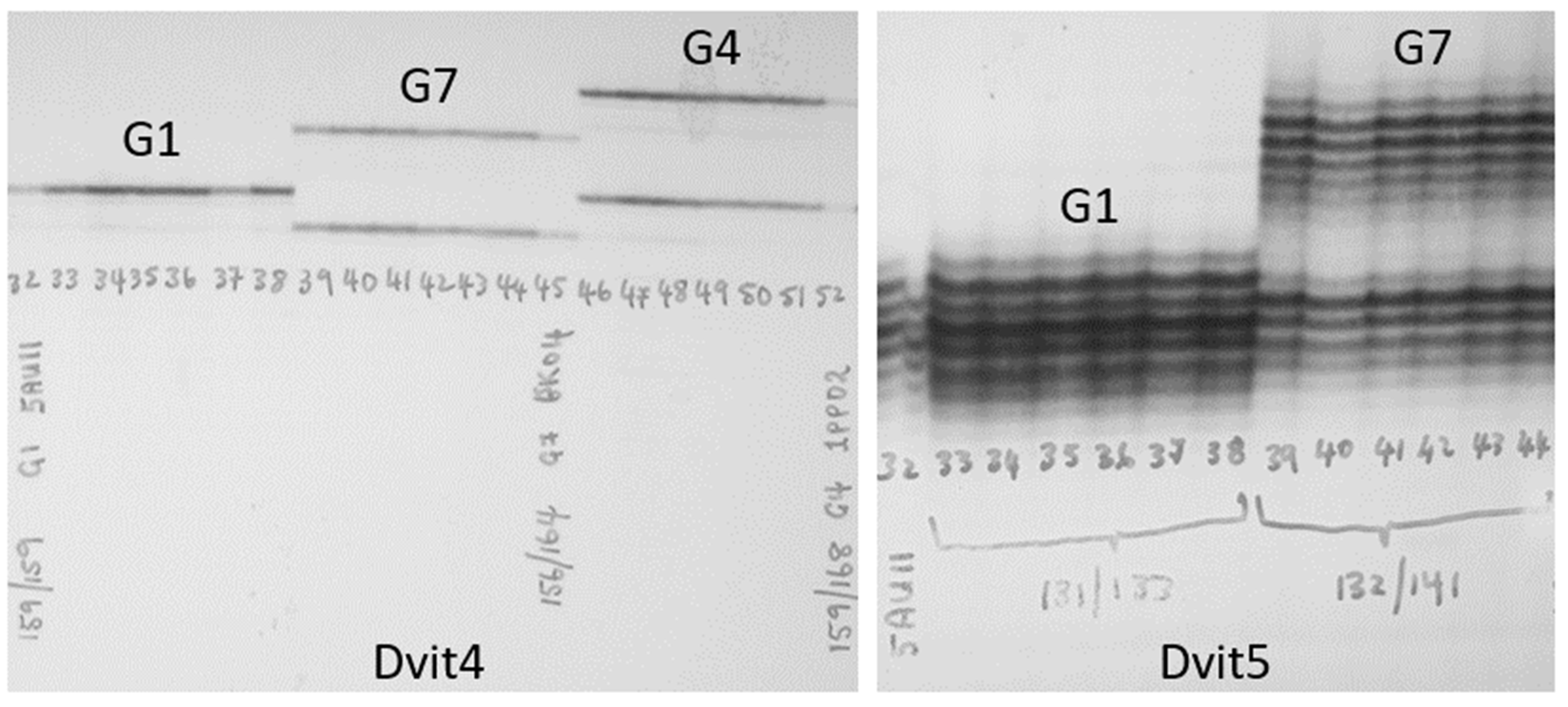 Insects 16 00230 g001 Insects 16 00230 g001