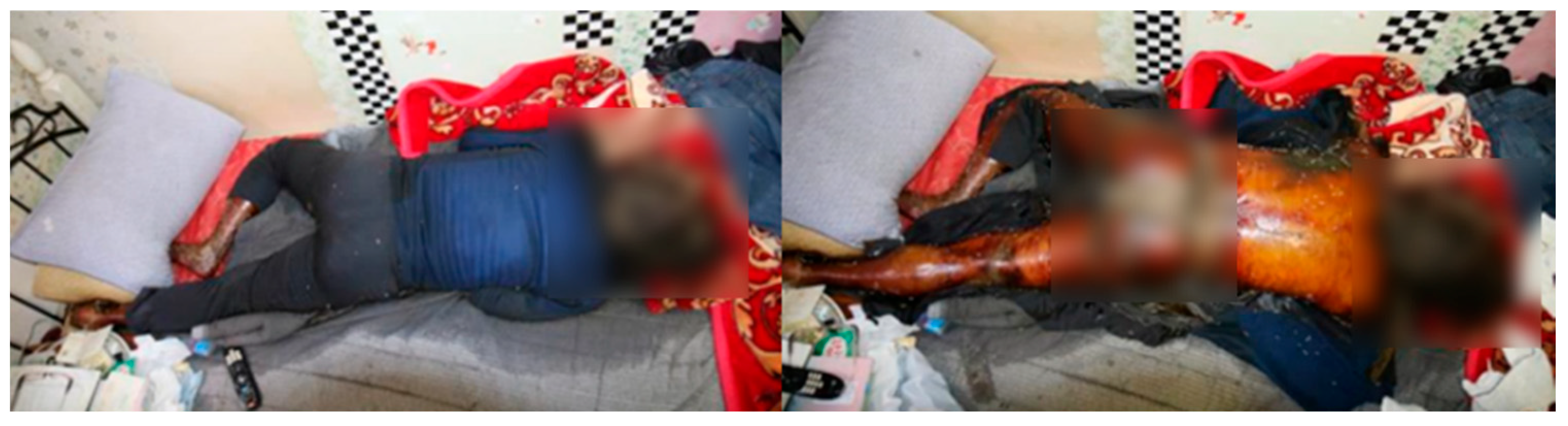 Insects 16 00231 g002 Insects 16 00231 g002