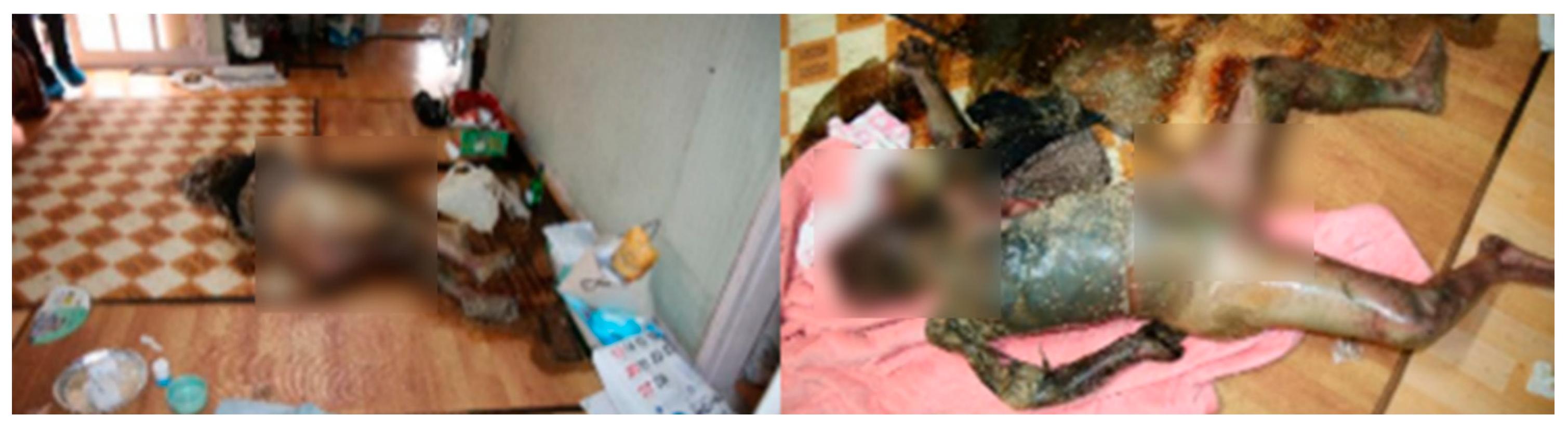 Insects 16 00231 g003 Insects 16 00231 g003