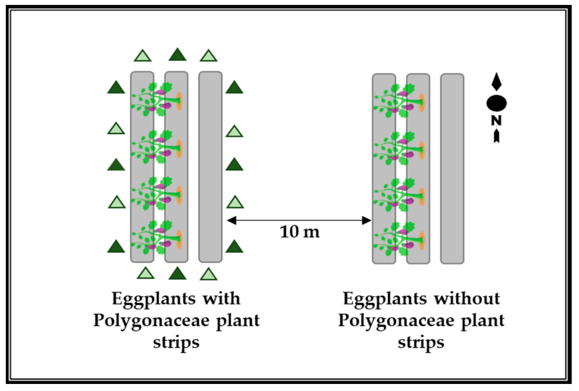 Insects 16 00232 g0a1