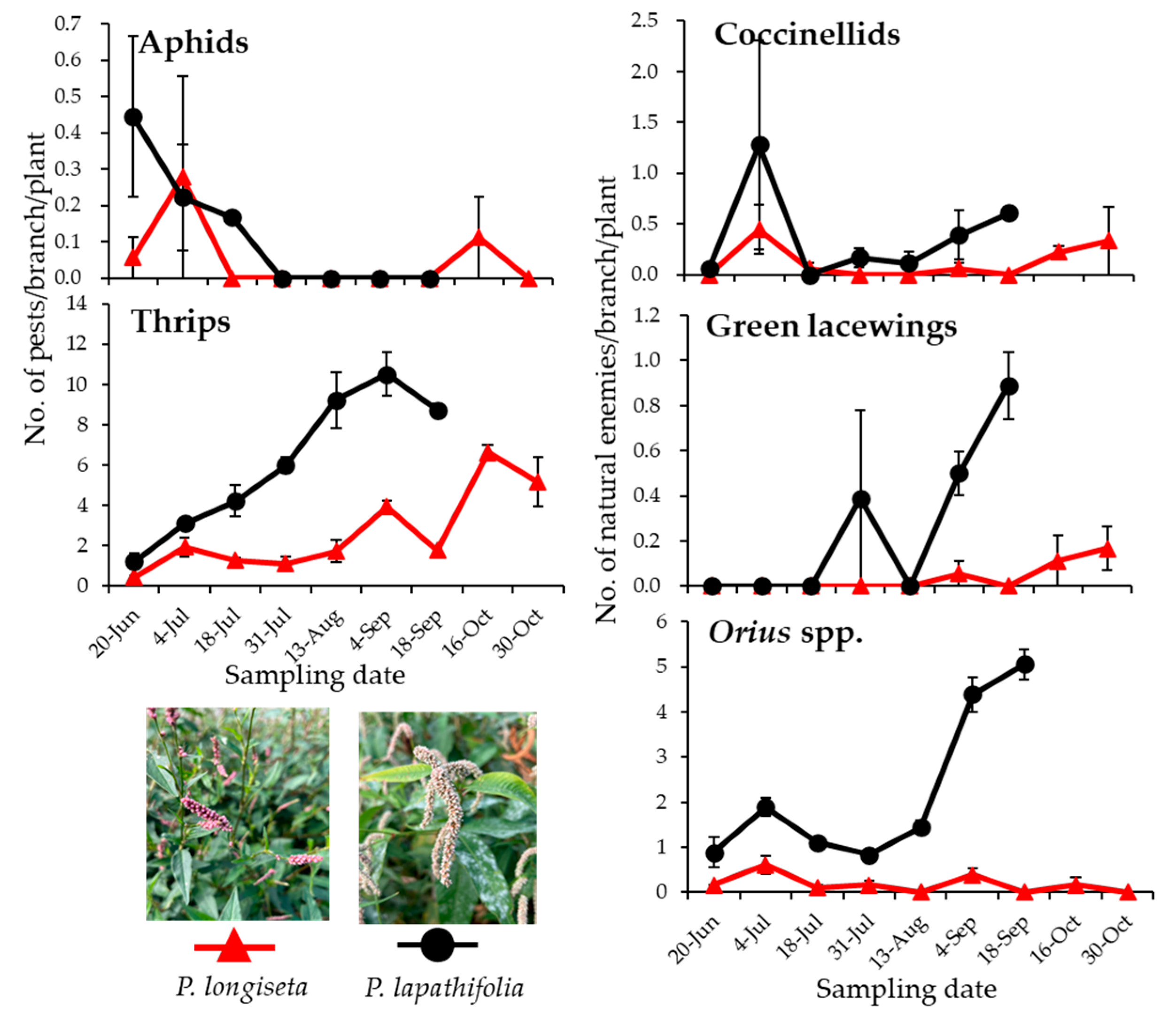 Insects 16 00232 g0a2