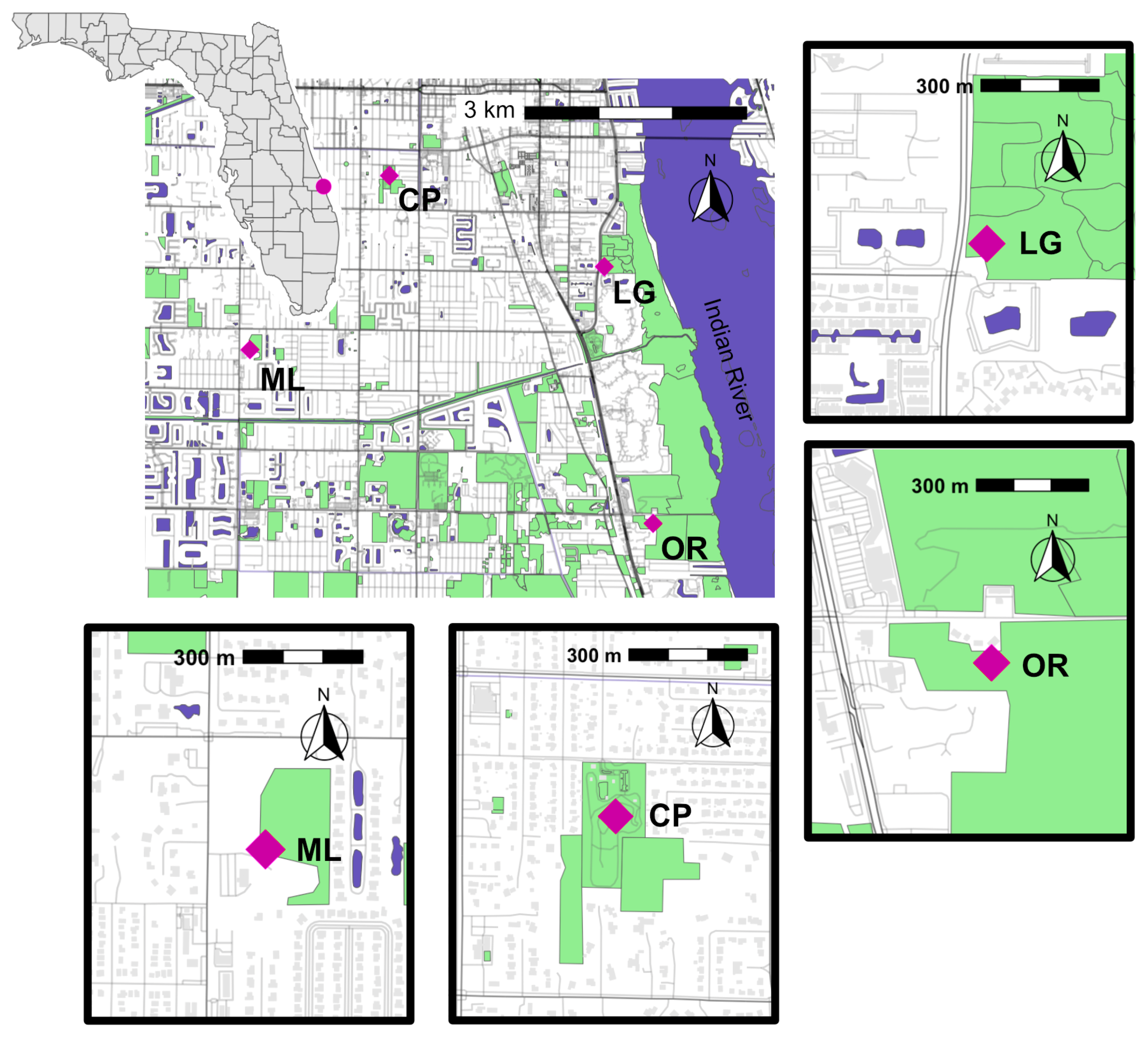 Insects 16 00233 g001