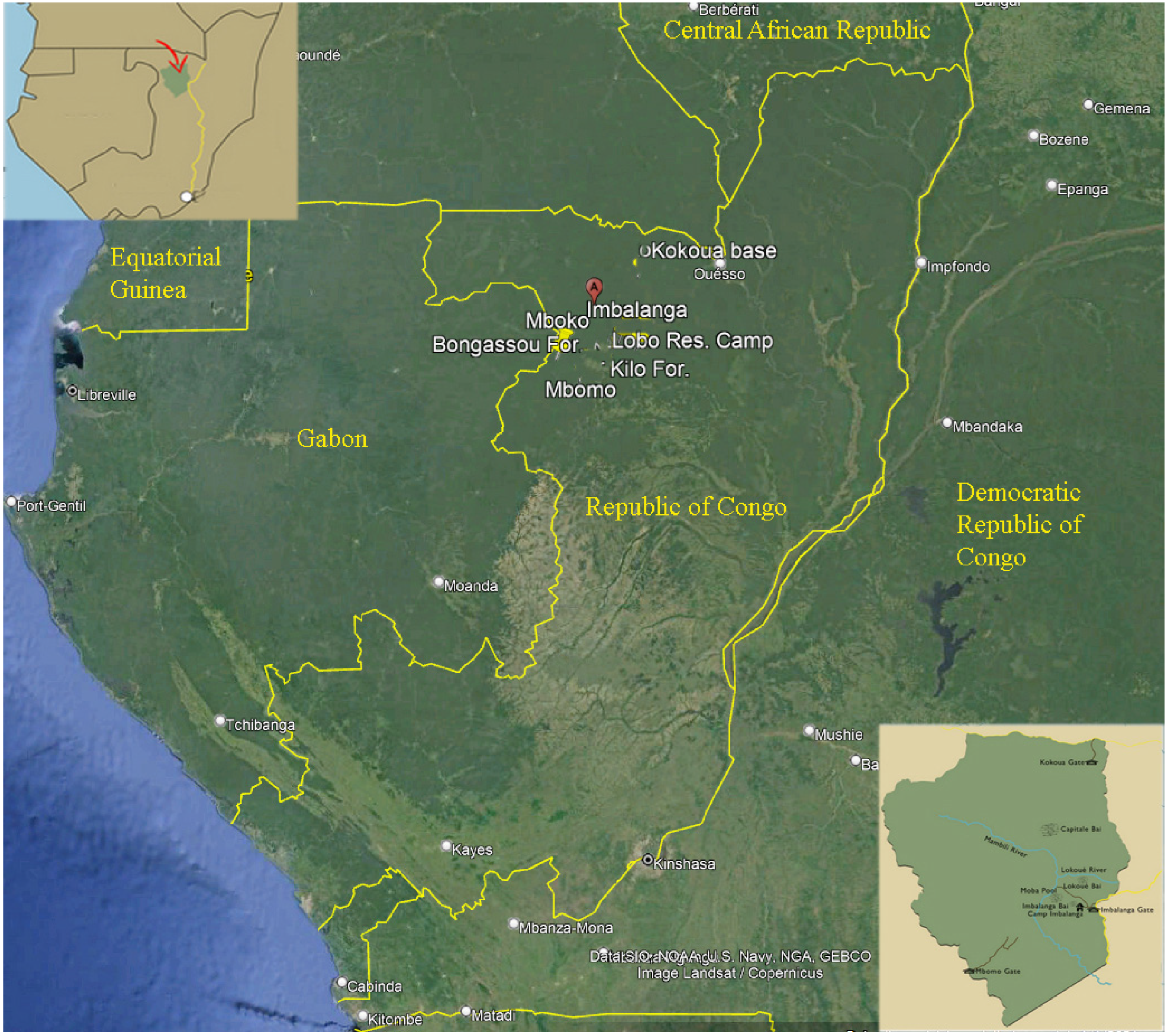 Insects 16 00241 g001