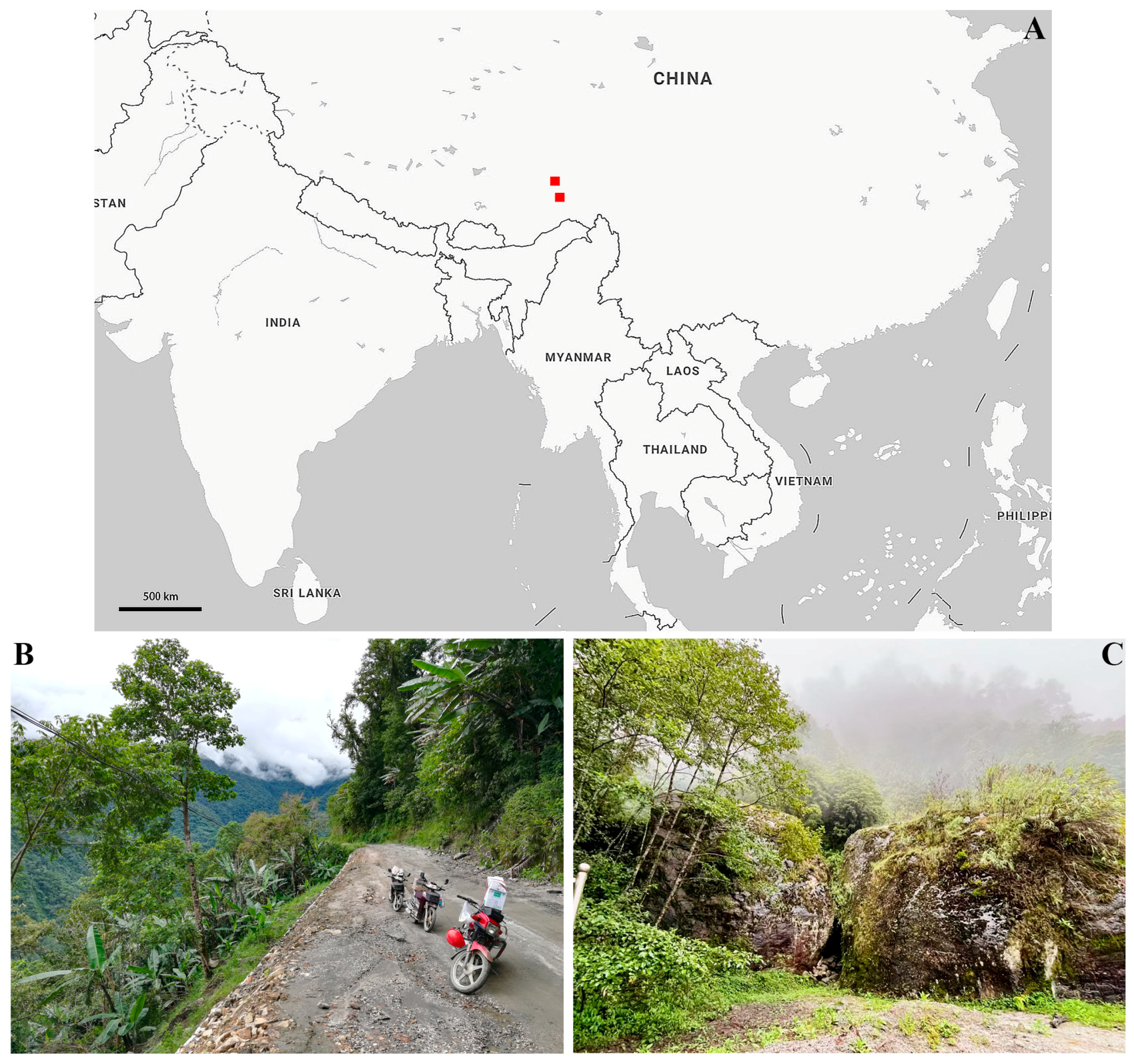 Insects 16 00242 g001