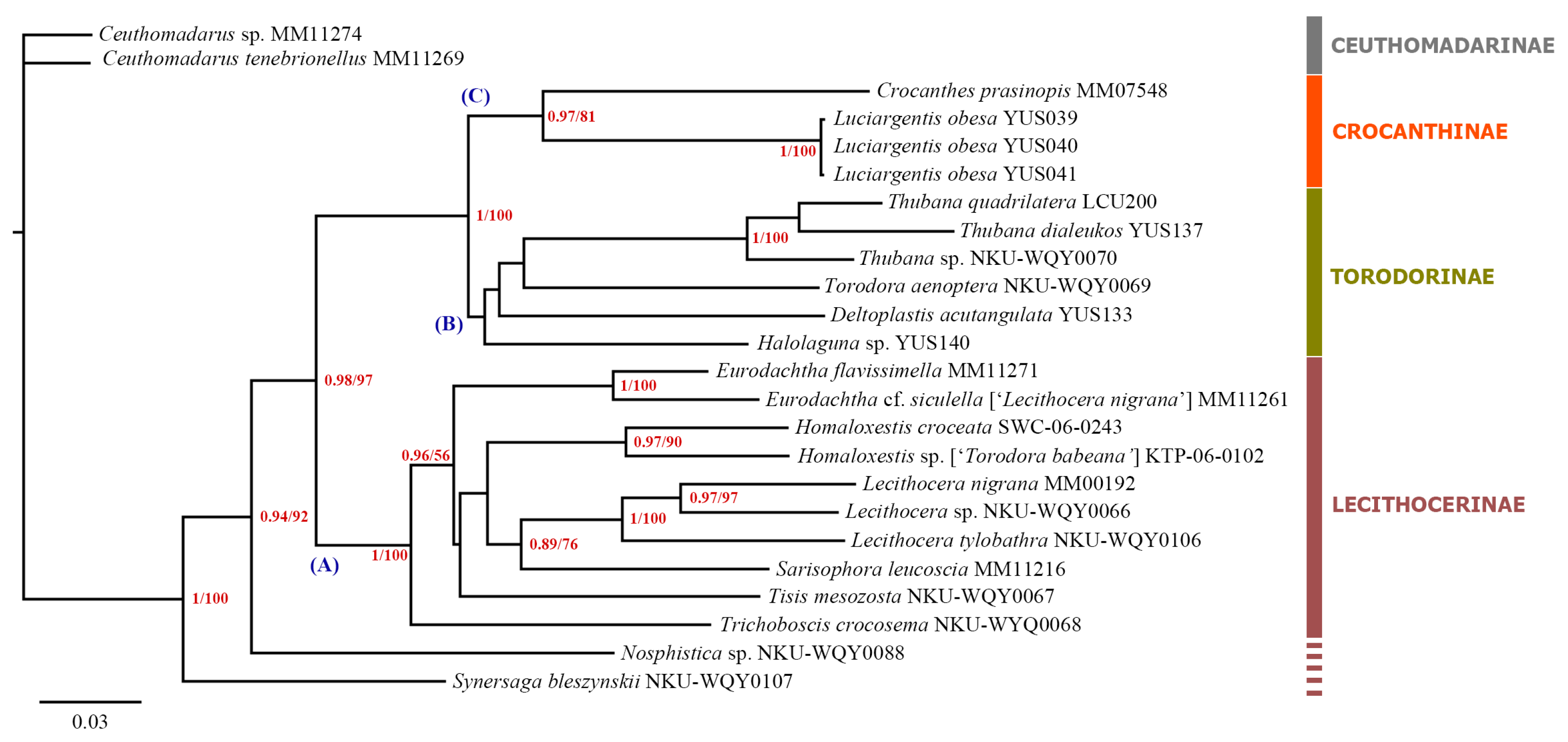 Insects 16 00242 g002