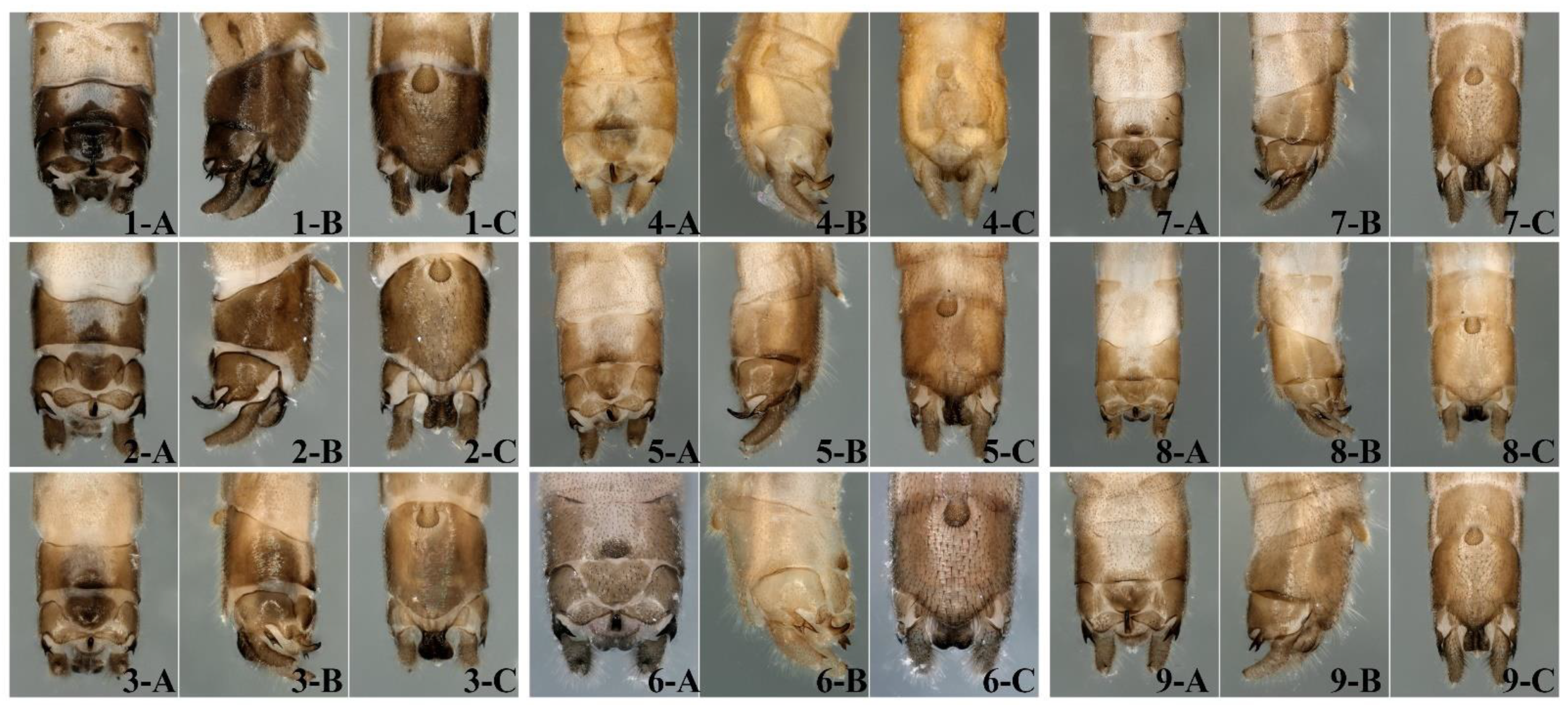 Insects 16 00244 g002 Insects 16 00244 g002