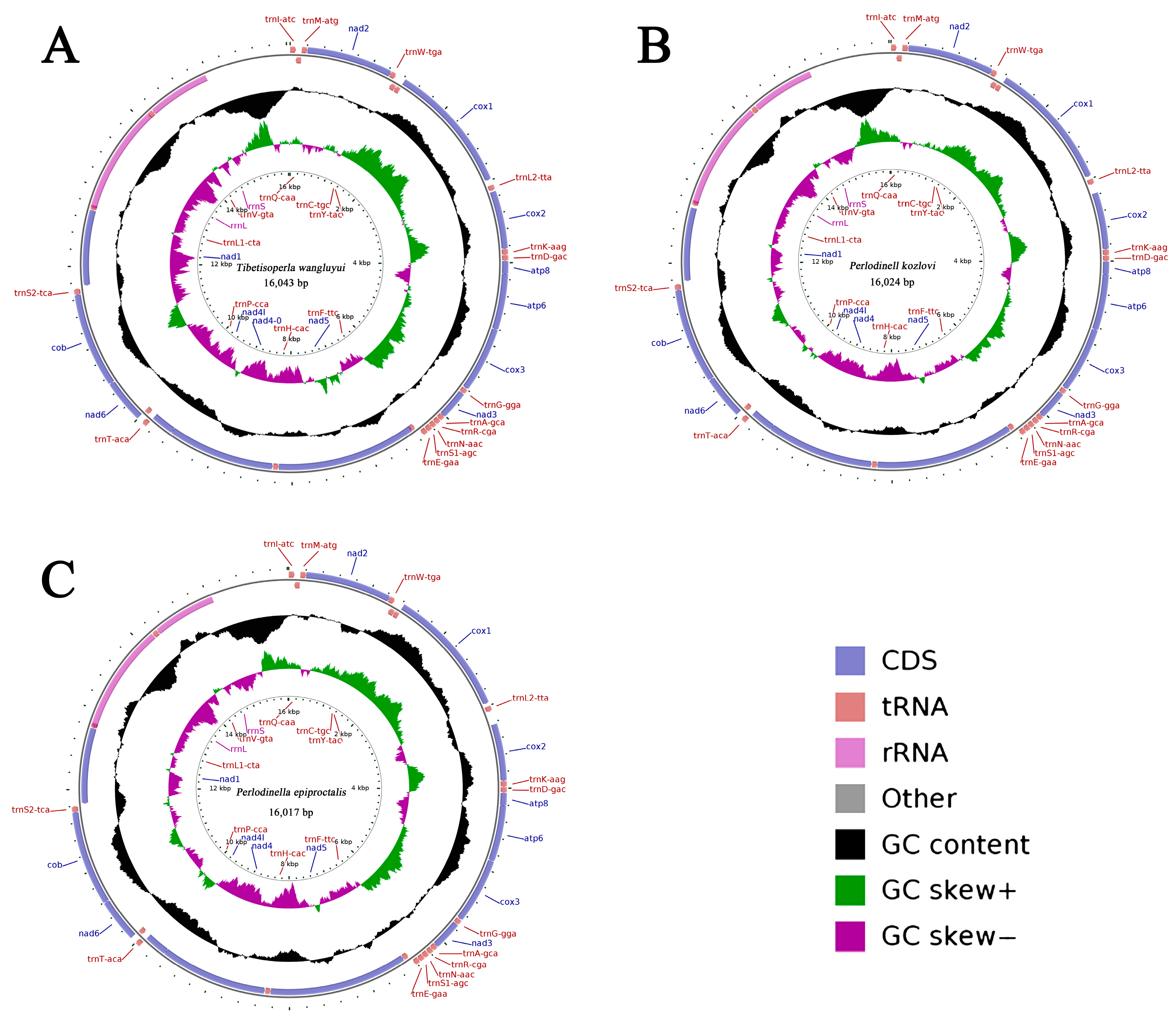 Insects 16 00245 g001