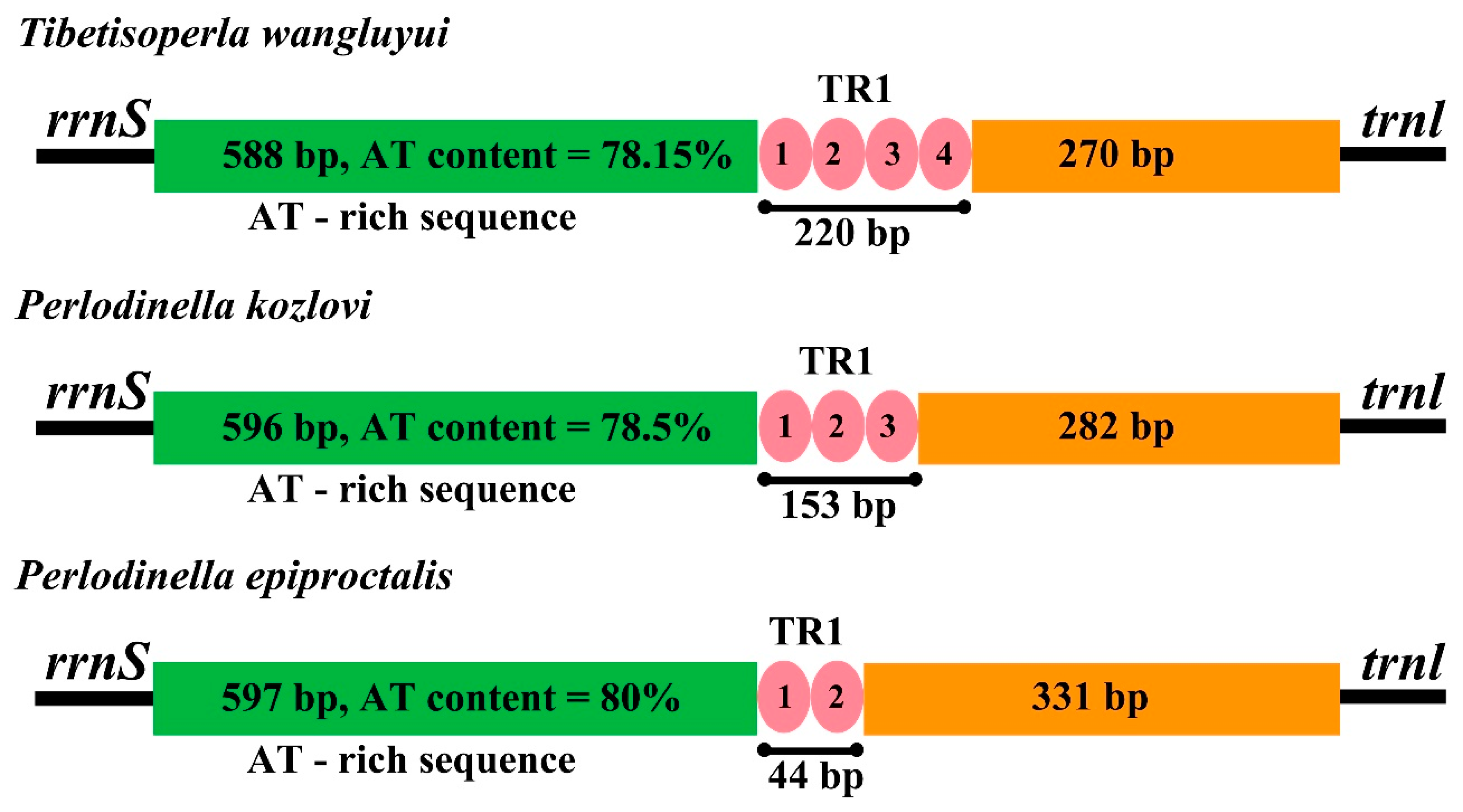 Insects 16 00245 g003