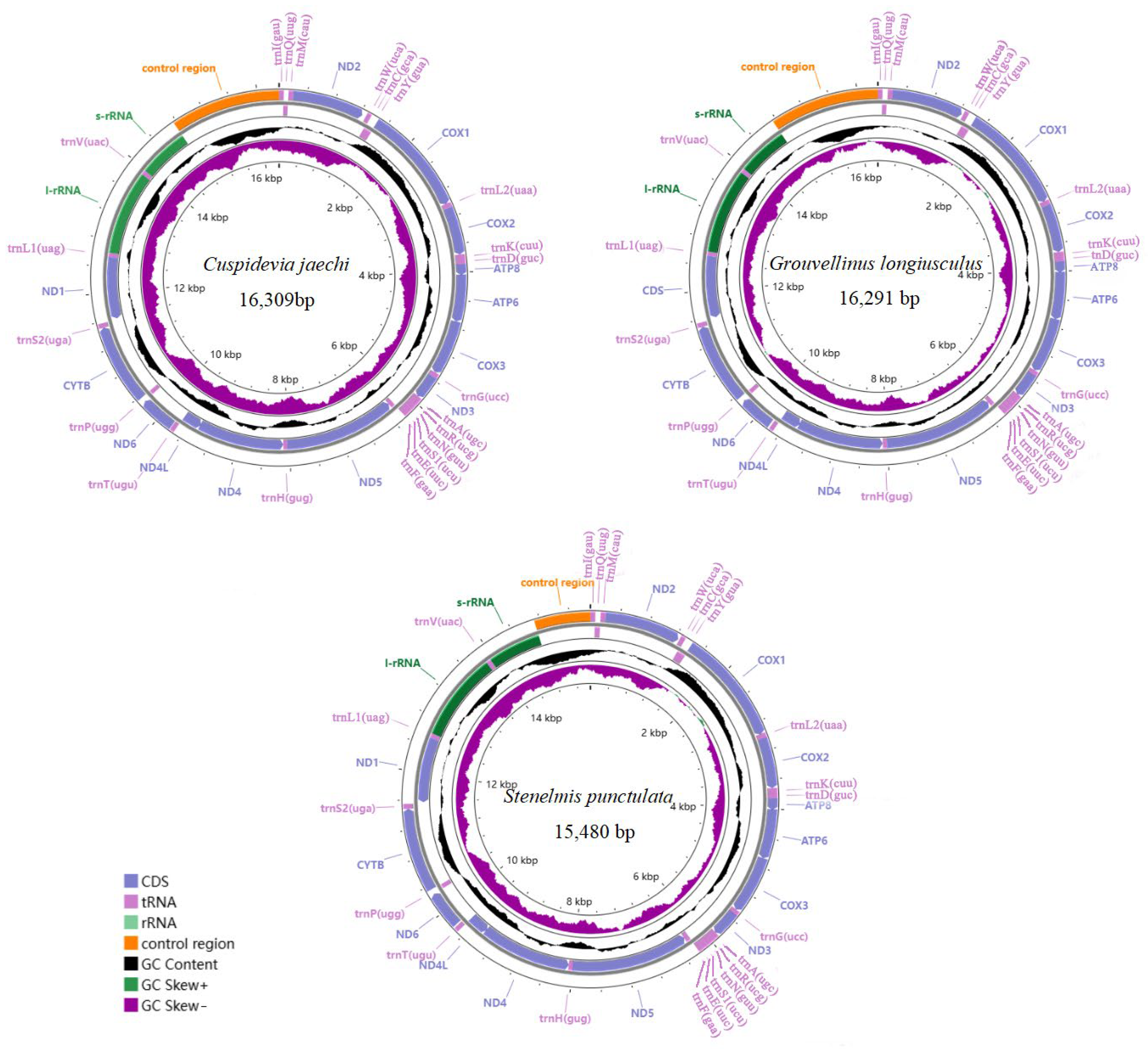 Insects 16 00247 g001 Insects 16 00247 g001