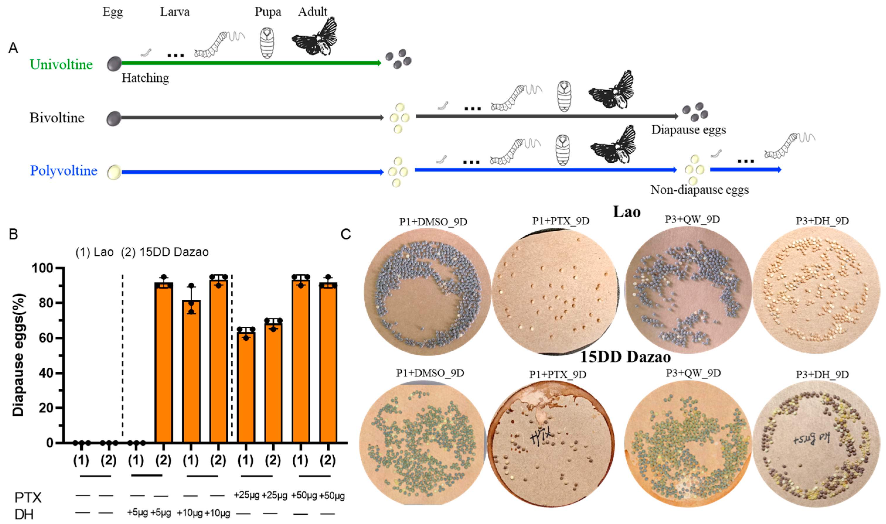 Insects 16 00251 g001