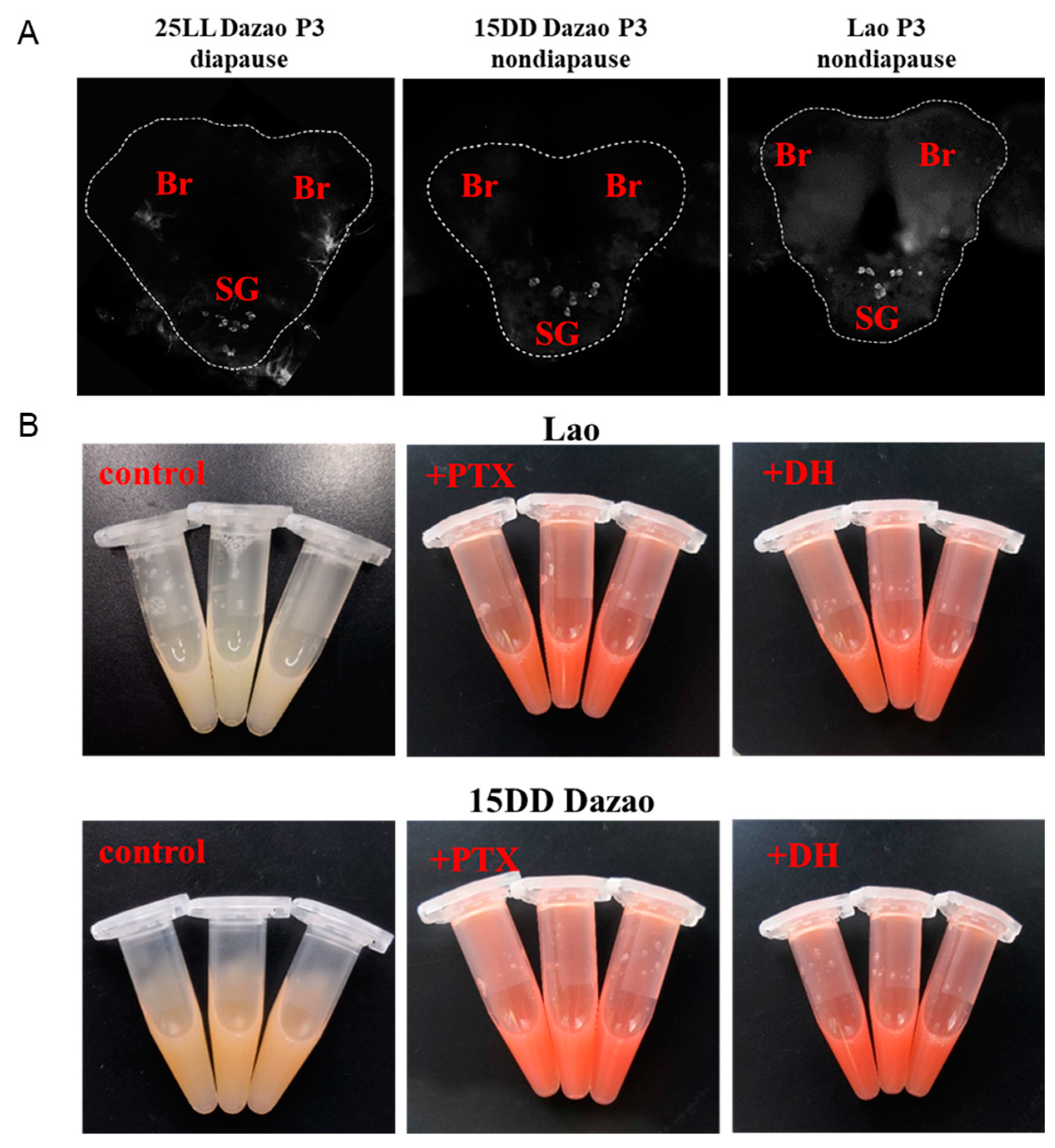 Insects 16 00251 g002