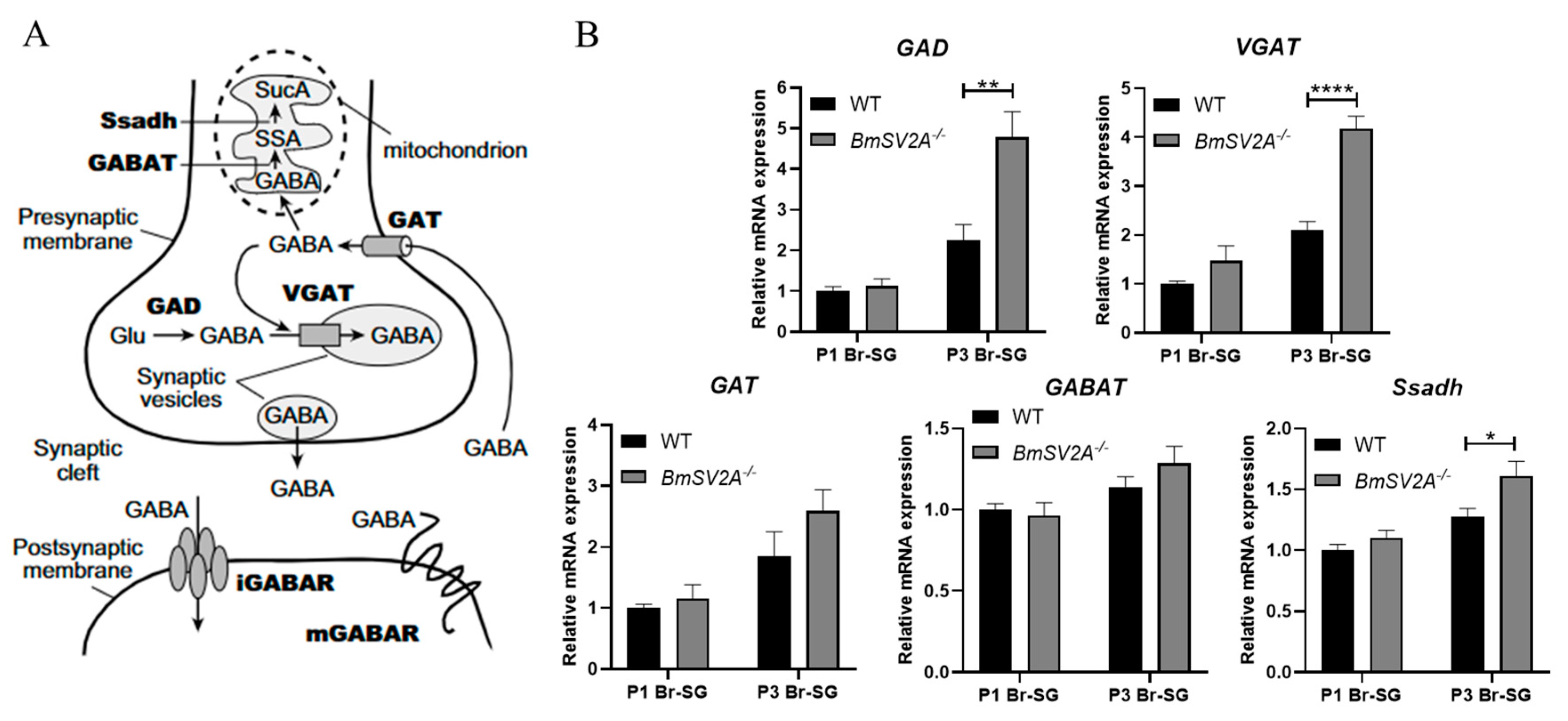 Insects 16 00251 g005