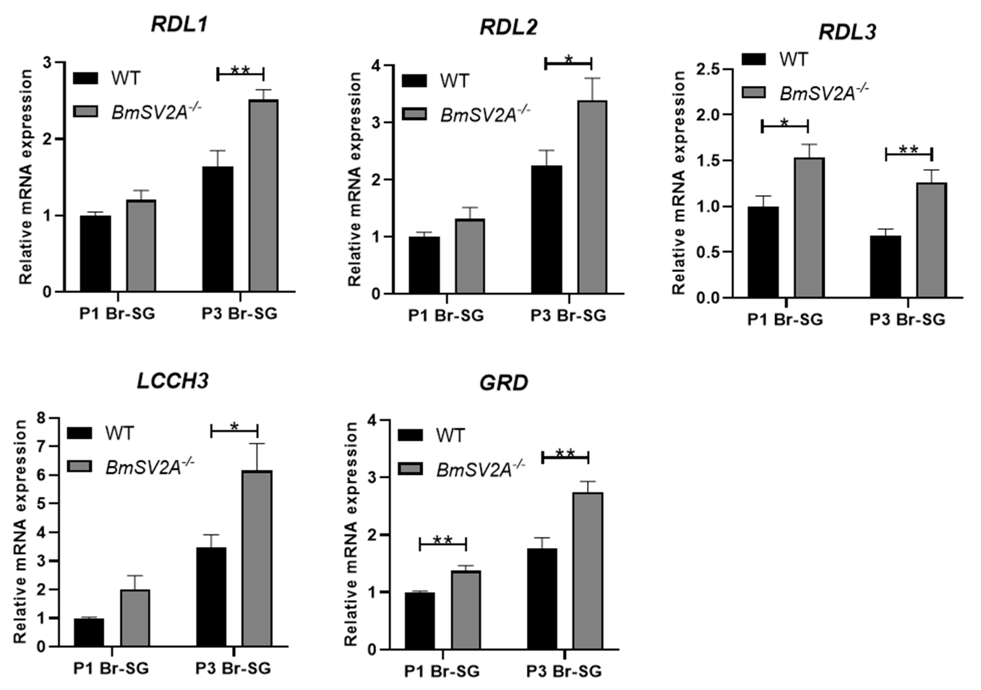 Insects 16 00251 g006
