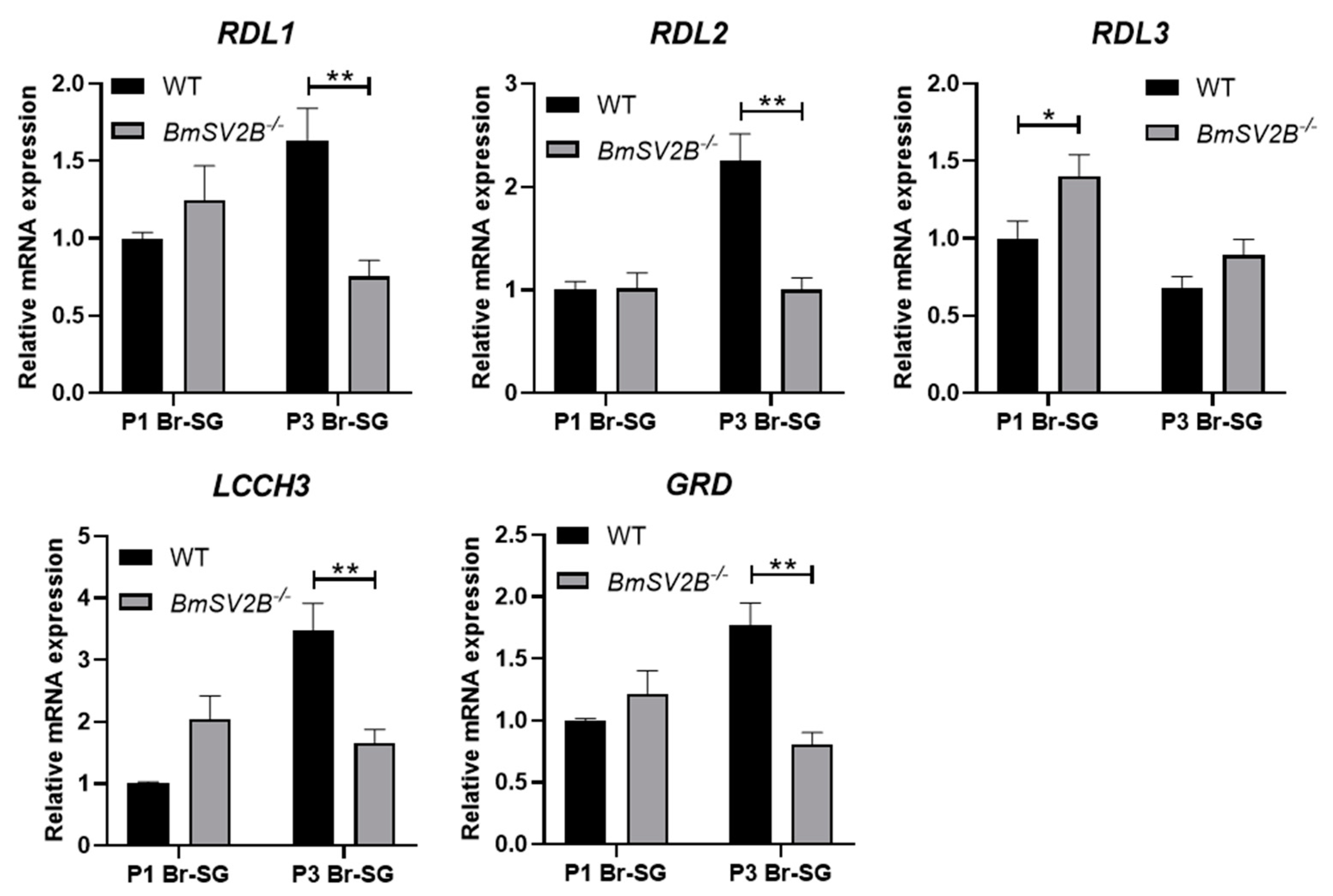 Insects 16 00251 g008