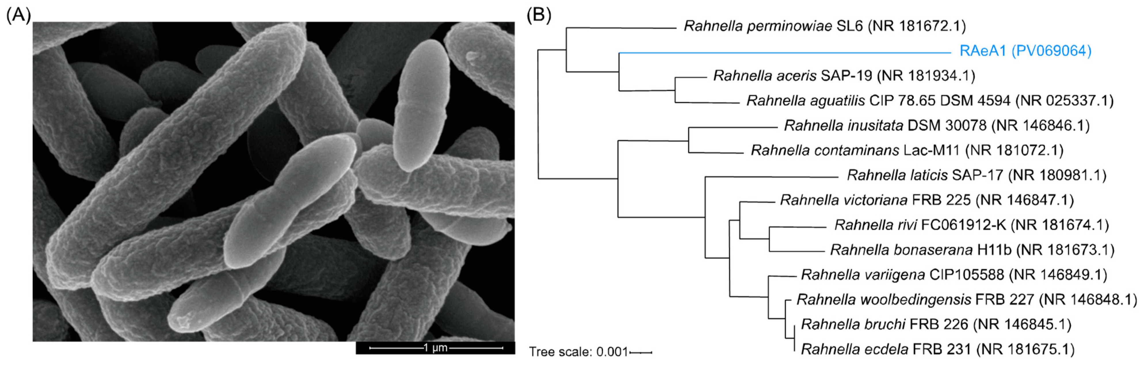 Insects 16 00257 g001