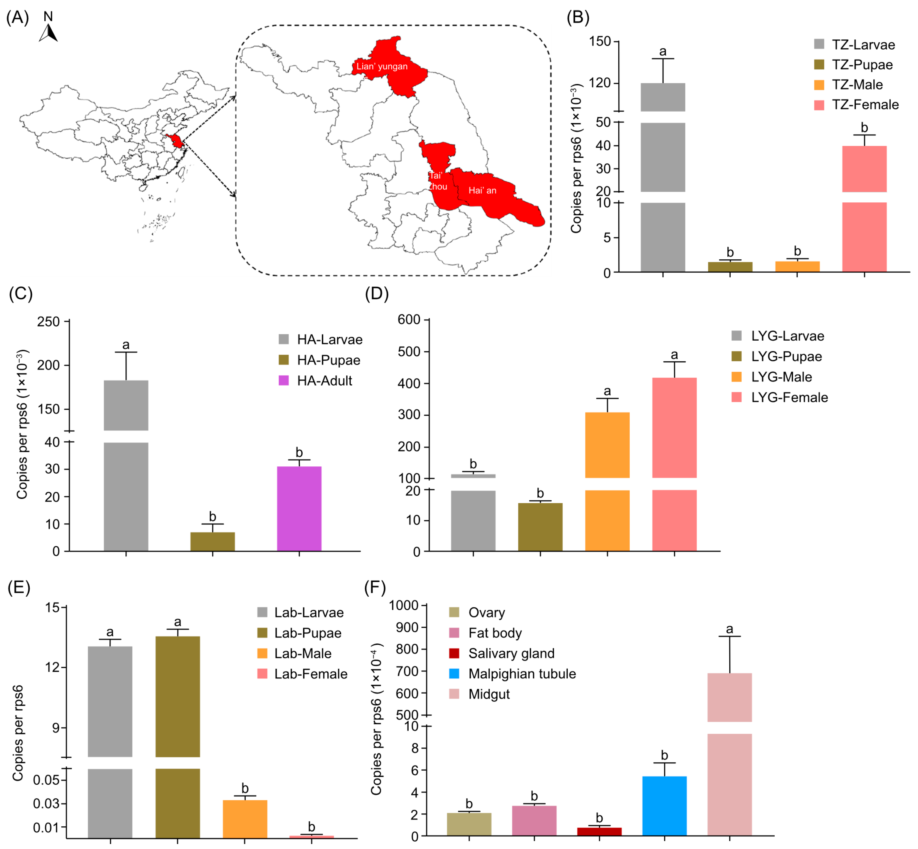 Insects 16 00257 g002