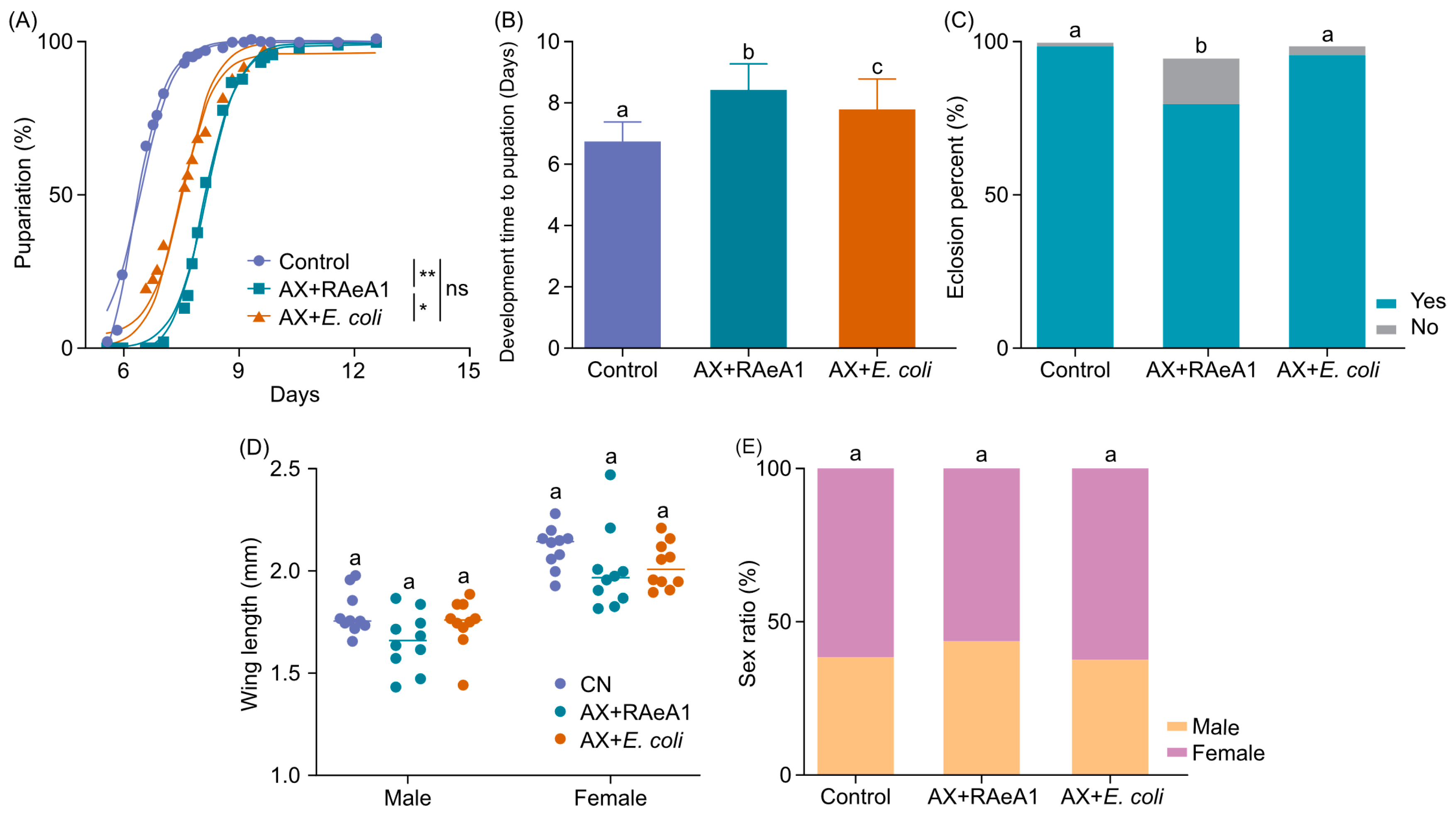 Insects 16 00257 g004