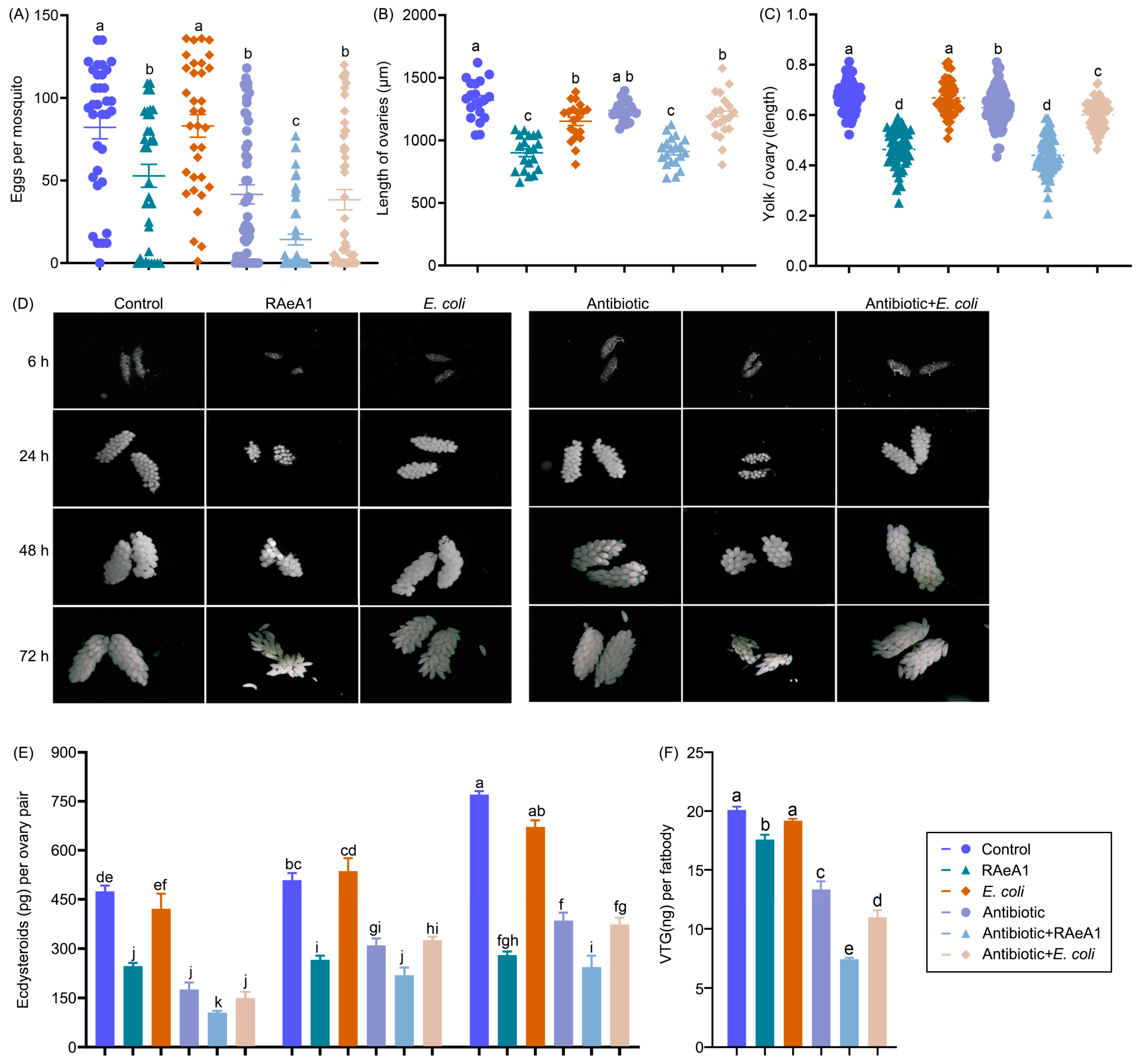Insects 16 00257 g005