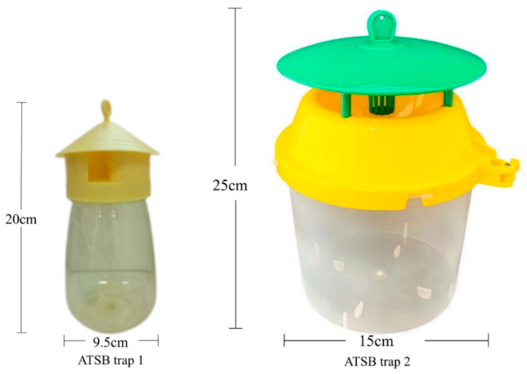 Insects 16 00258 g001