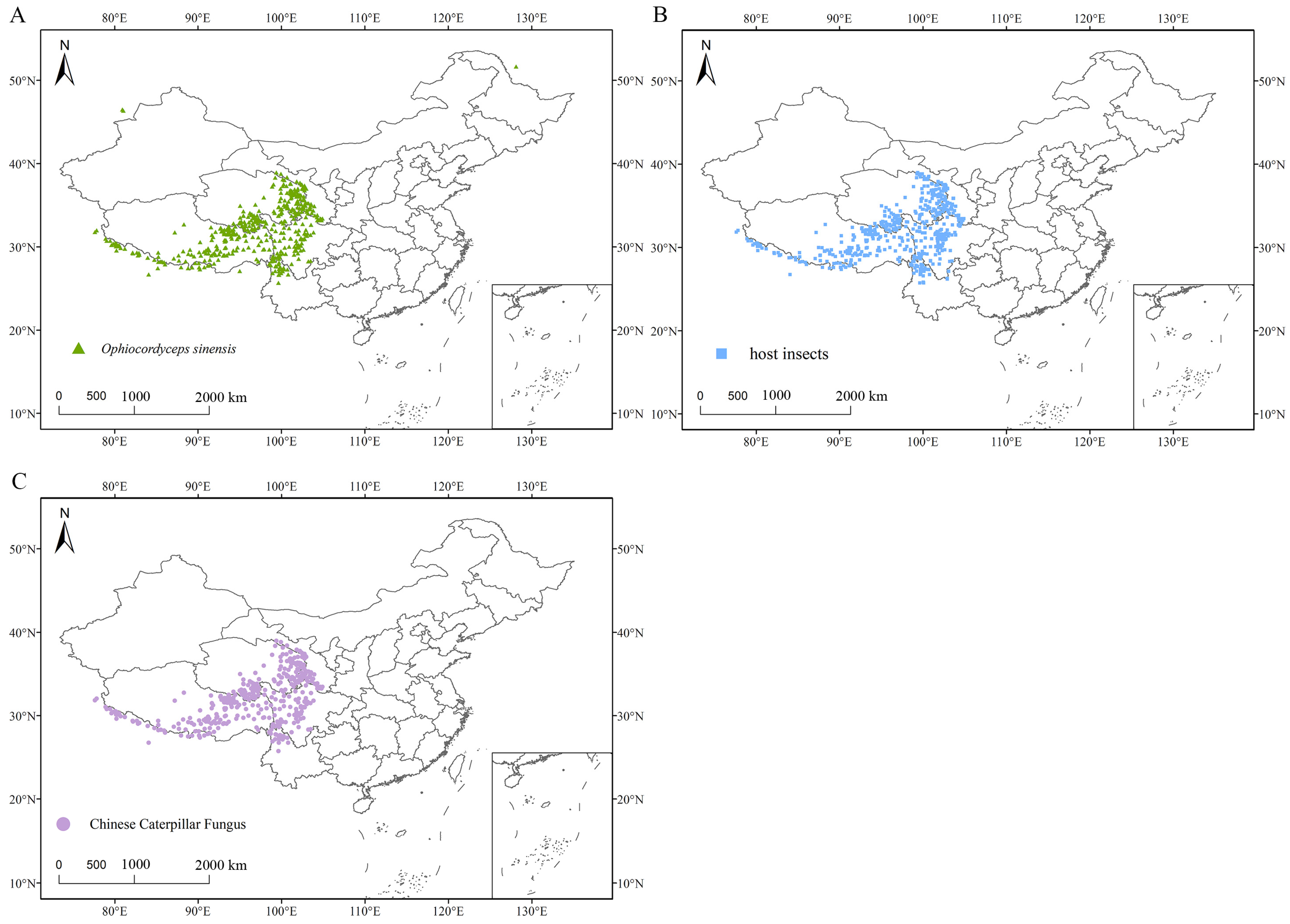 Insects 16 00262 g001