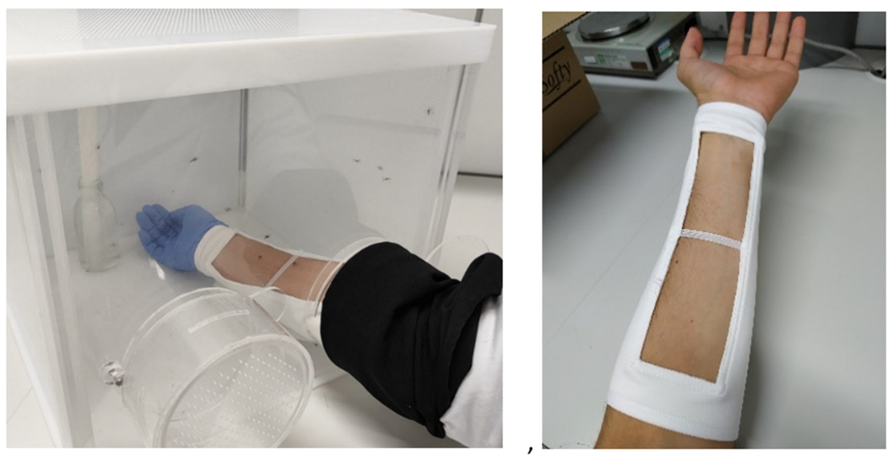 Insects 16 00265 g001