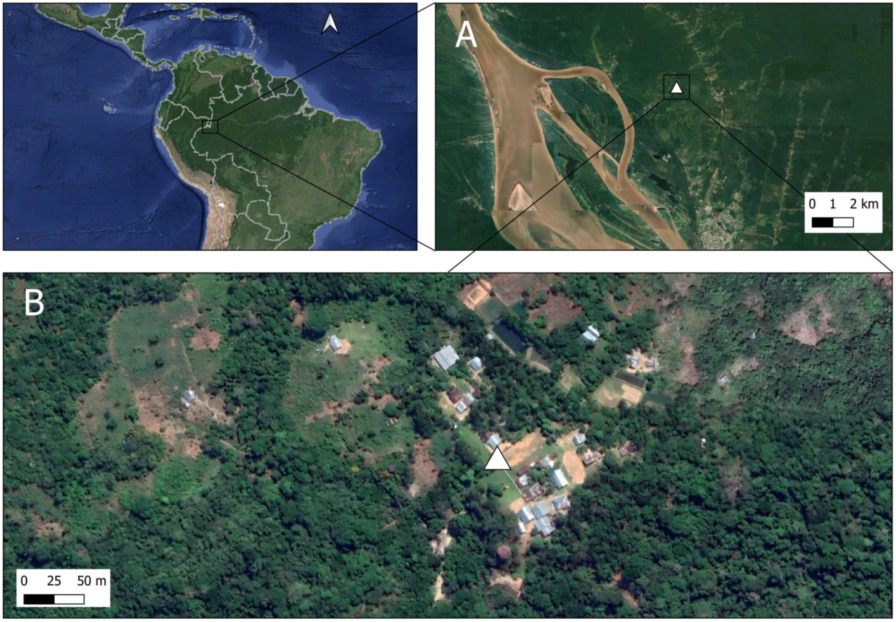 Insects 16 00269 g001 Insects 16 00269 g001