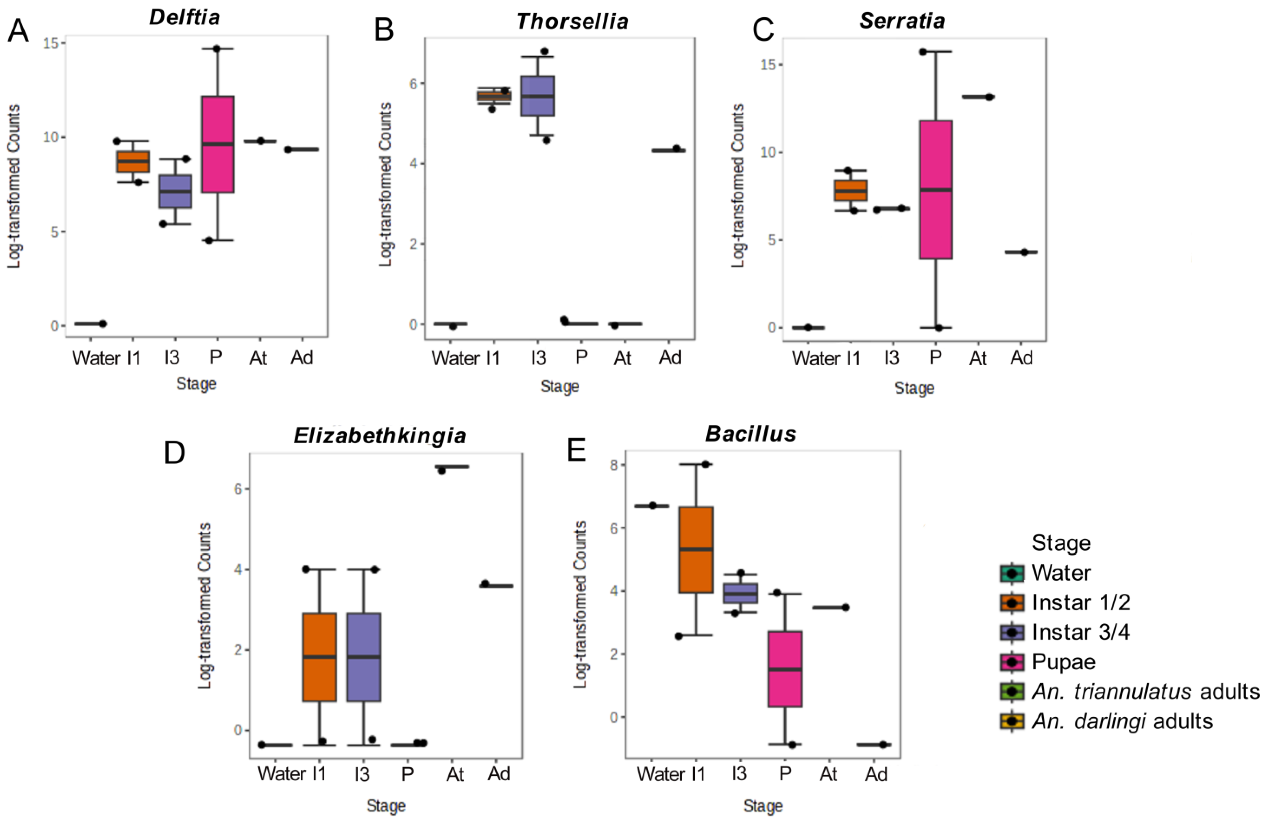 Insects 16 00269 g007 Insects 16 00269 g007