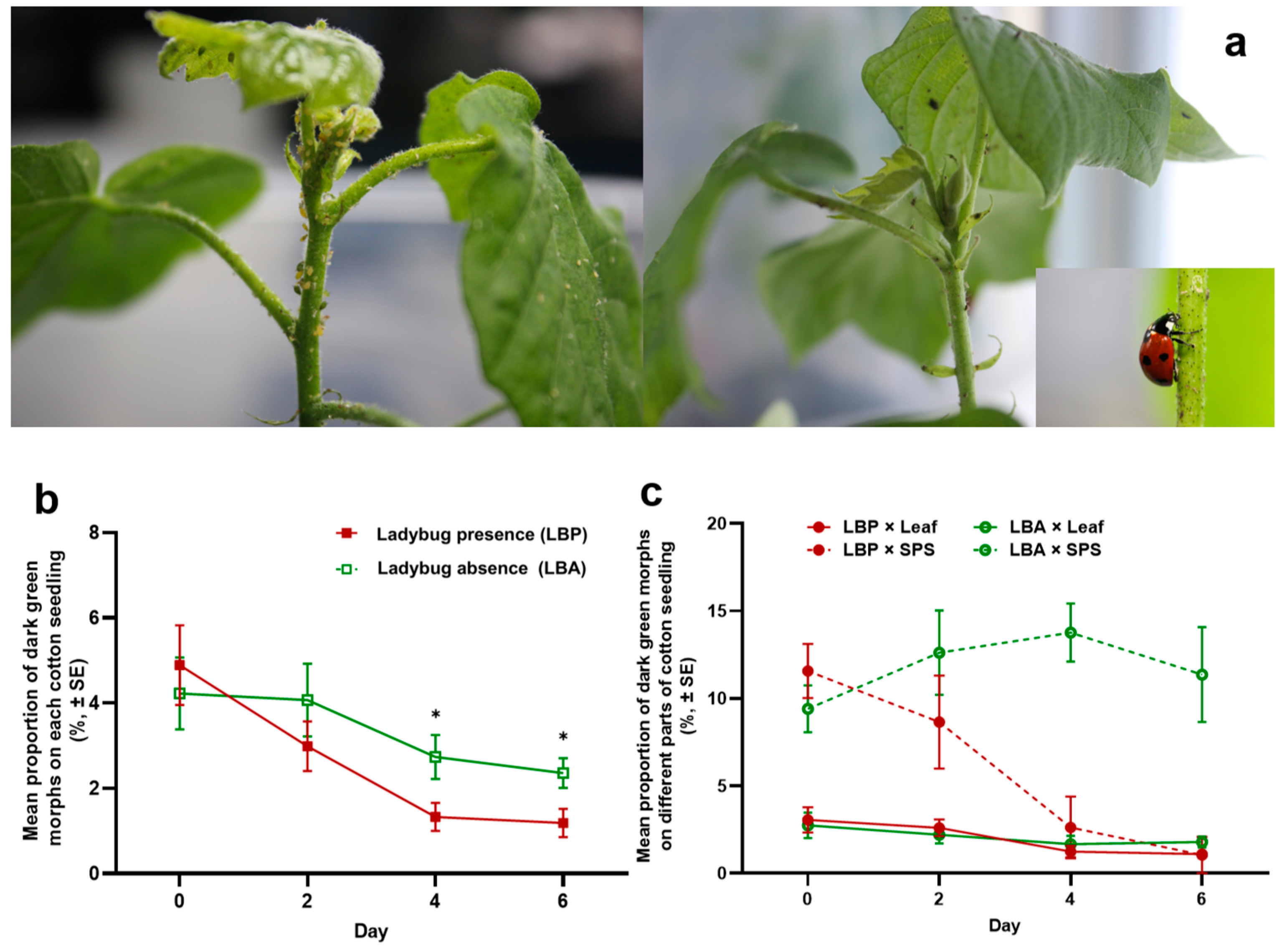 Insects 16 00271 g003