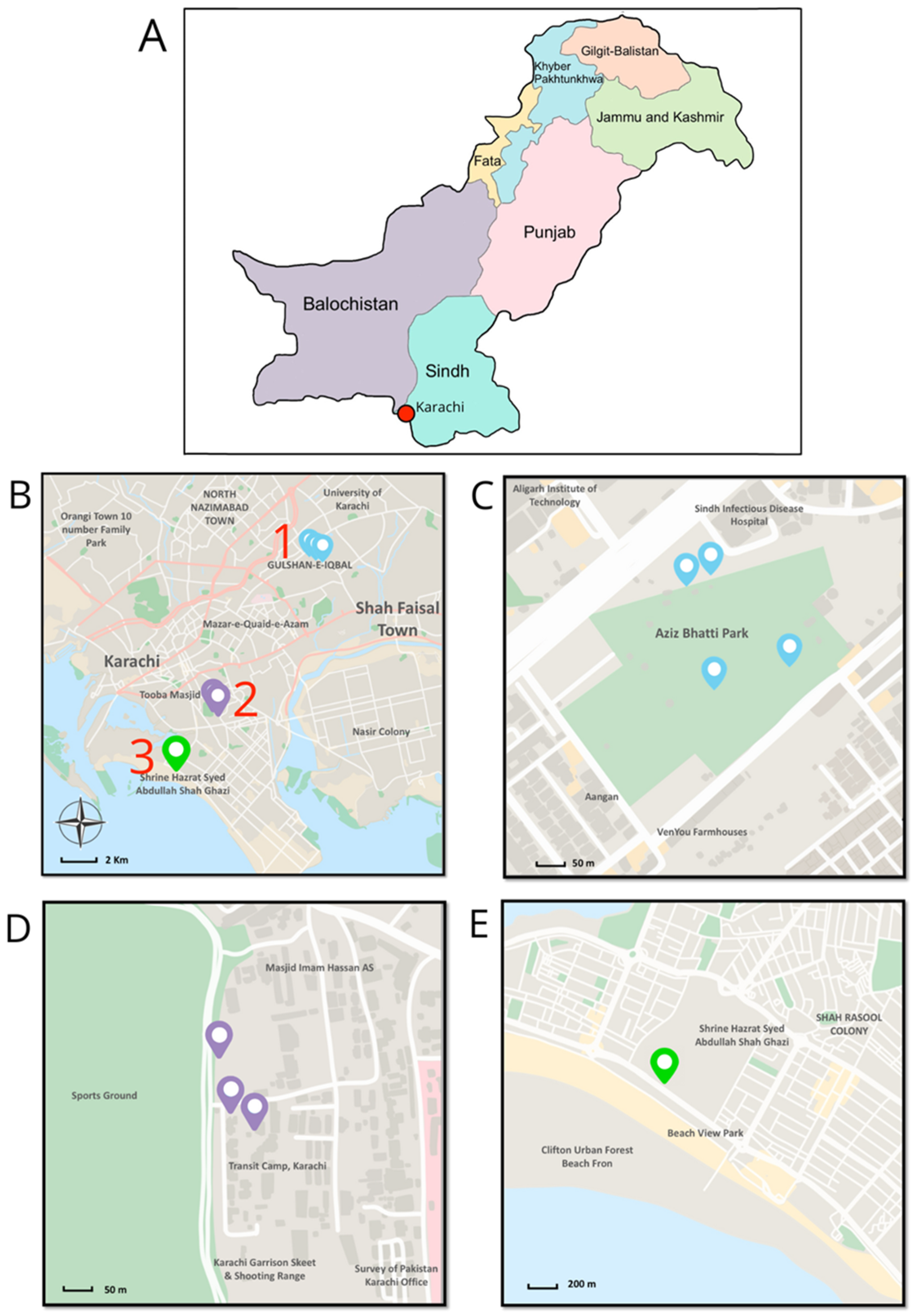 Insects 16 00272 g001