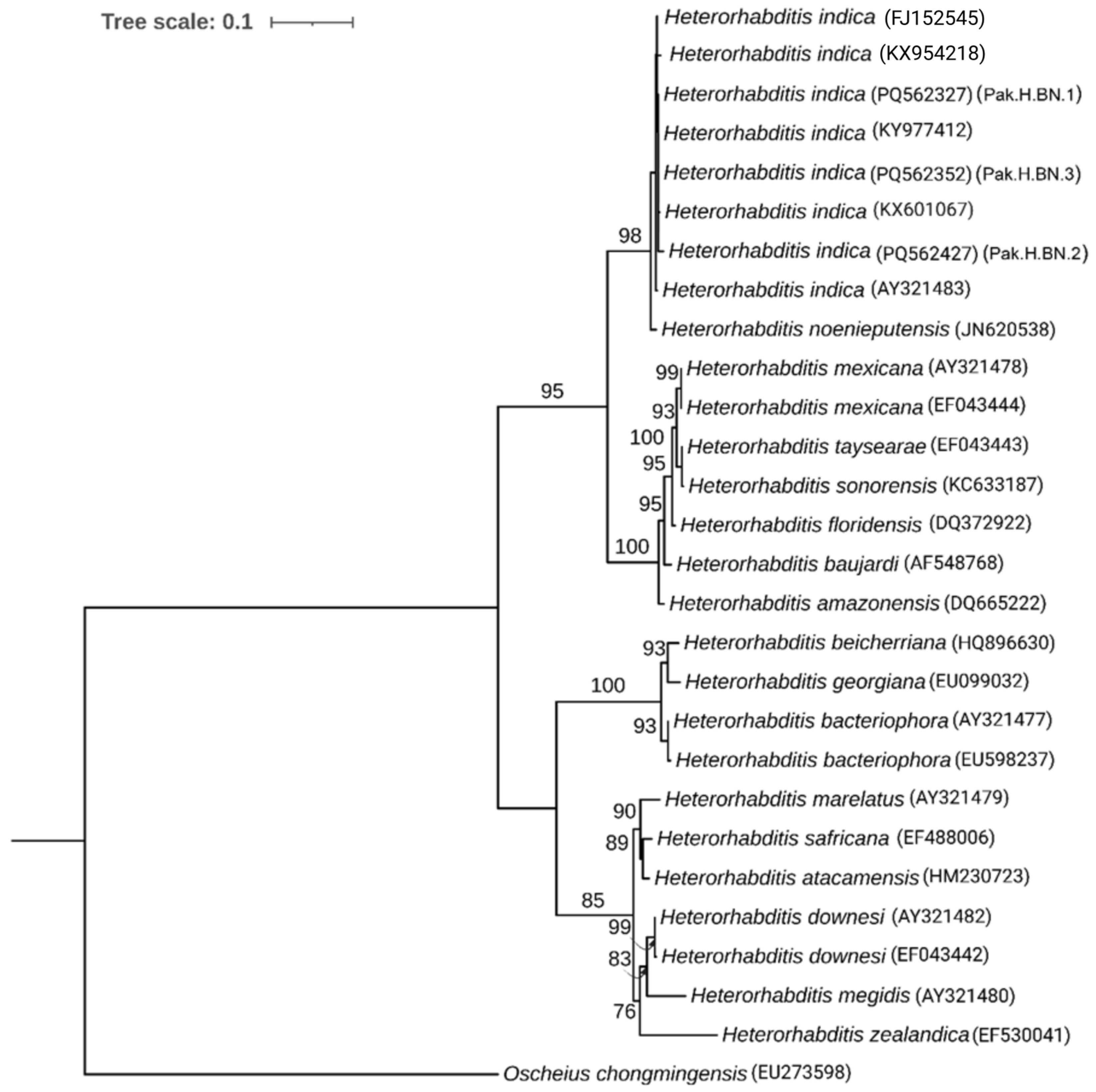 Insects 16 00272 g002