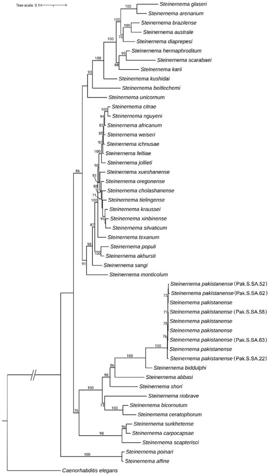 Efficacy of Indigenous Strains of Entomopathogenic Nematodes in ...
