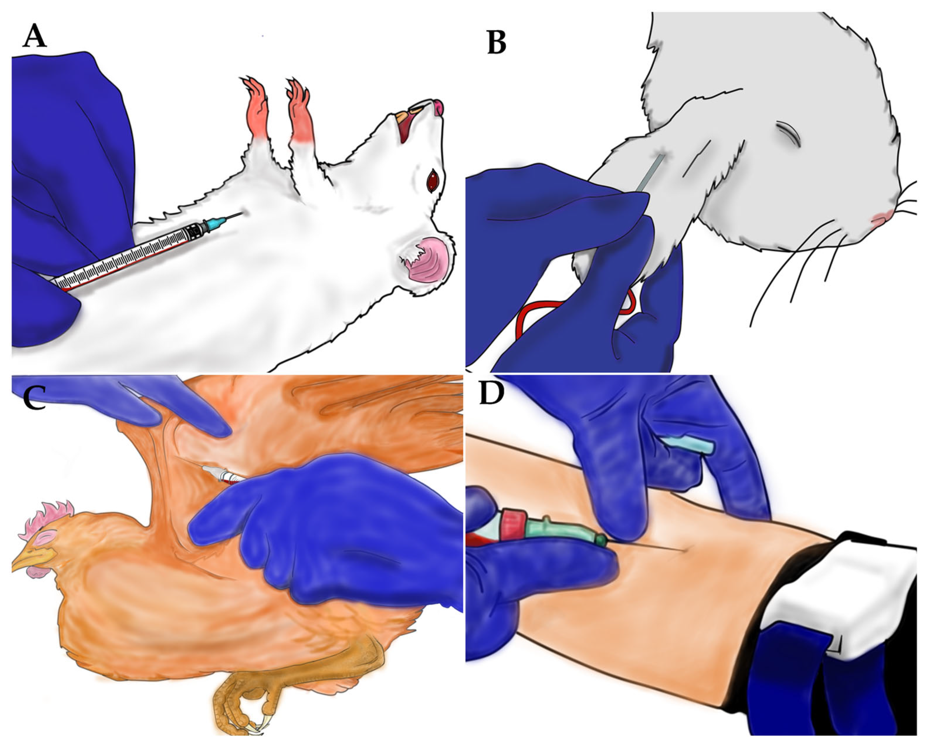 Insects 16 00281 g001